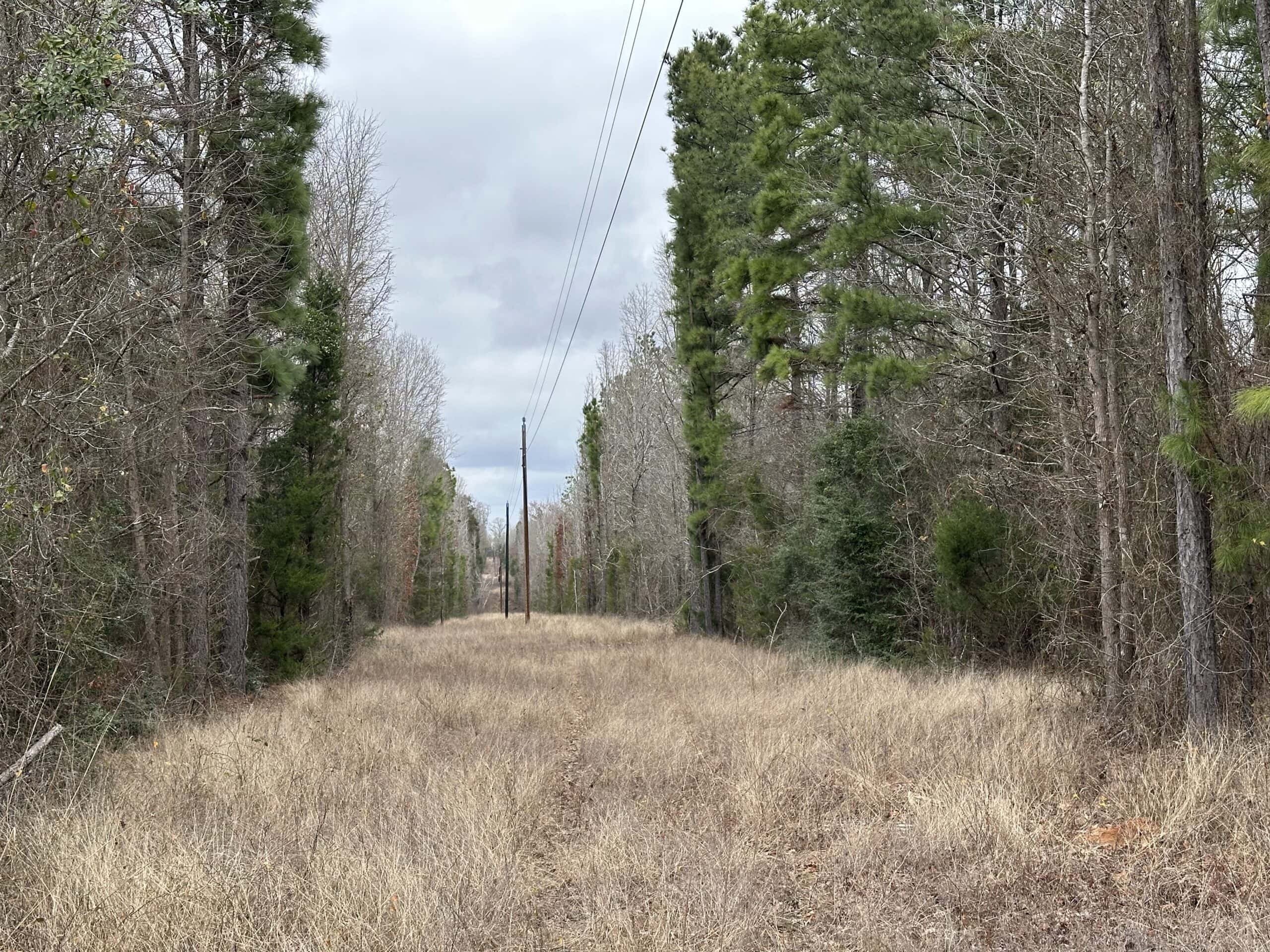 Cherokee County Texas Hunting/Recreational Tract For Sale