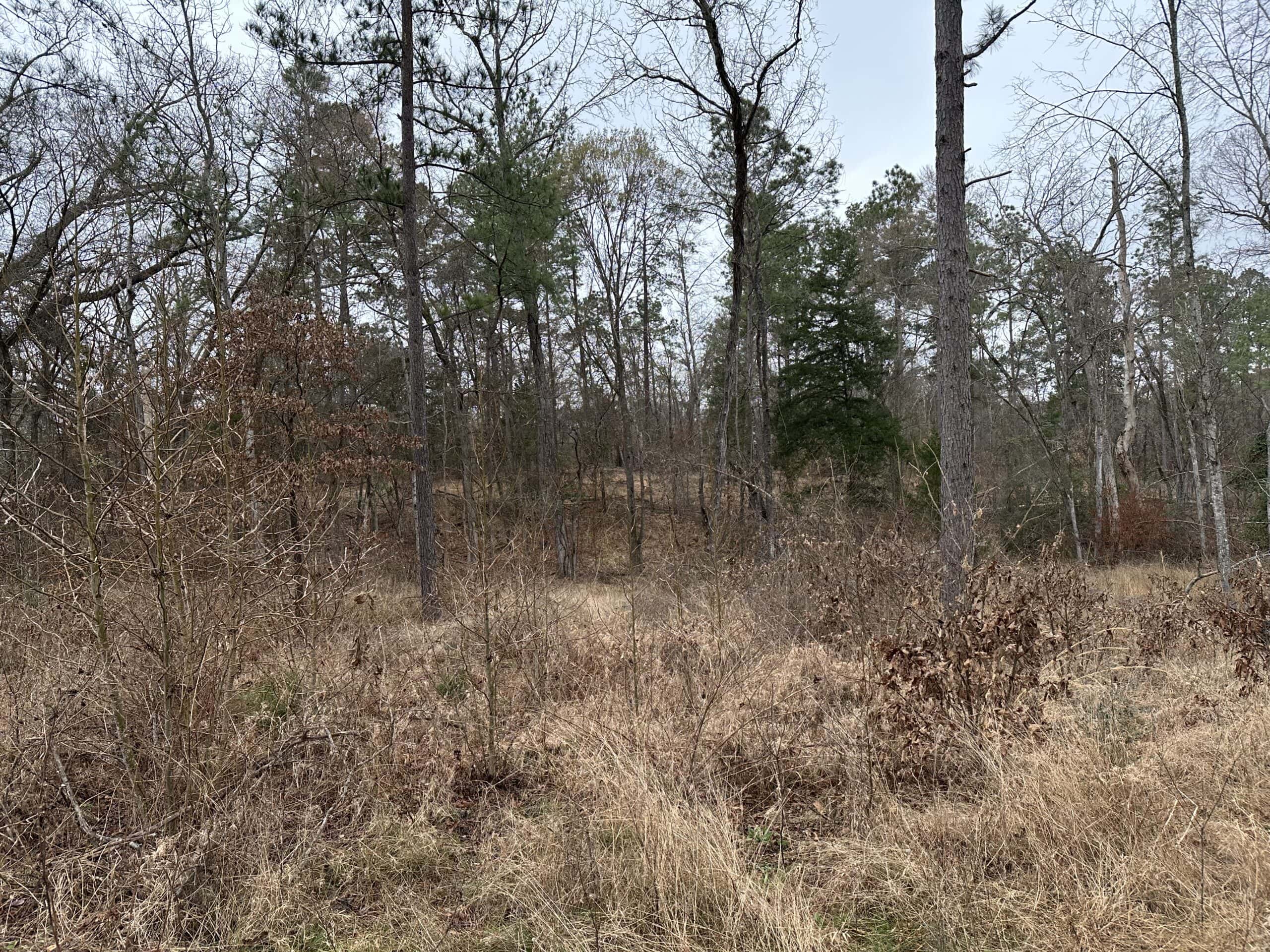 East Texas Recreational/Hunting Land For Sale
