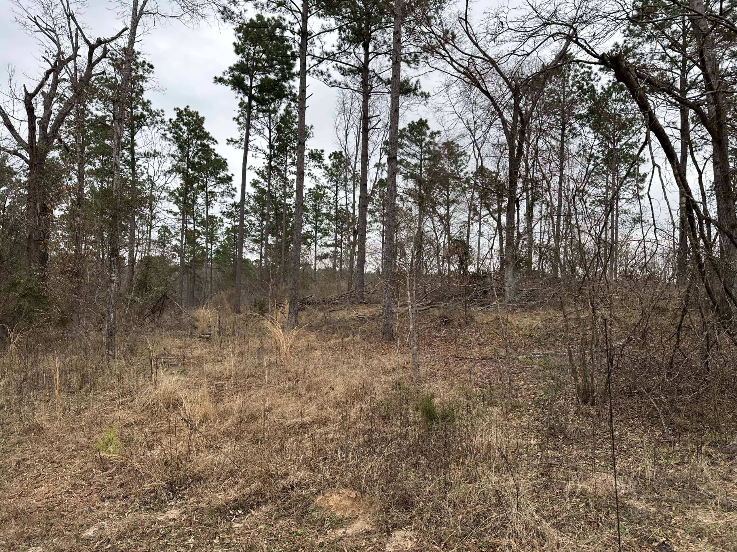 East Texas Recreational/Hunting Land For Sale