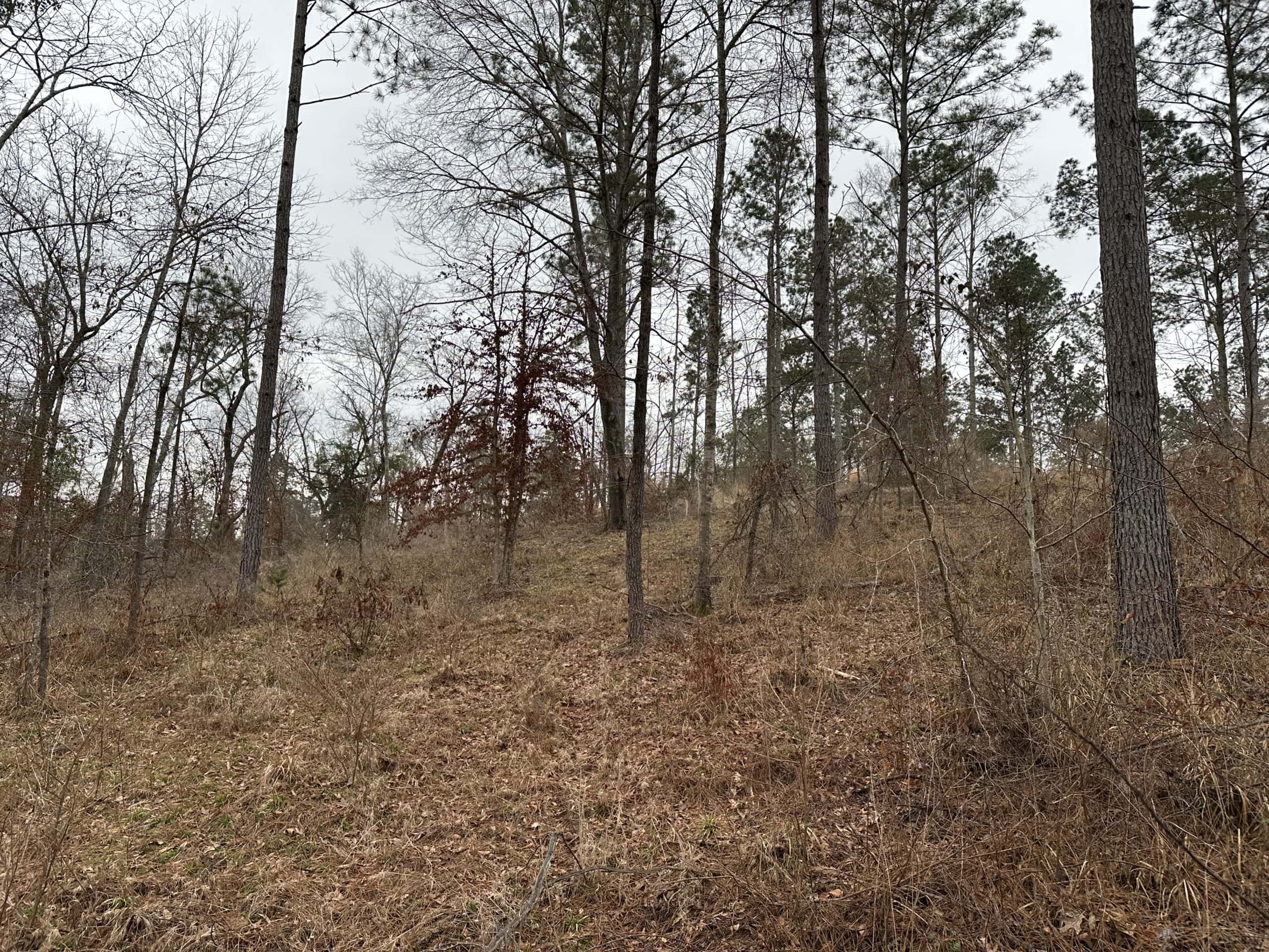East Texas Recreational/Hunting Land For Sale
