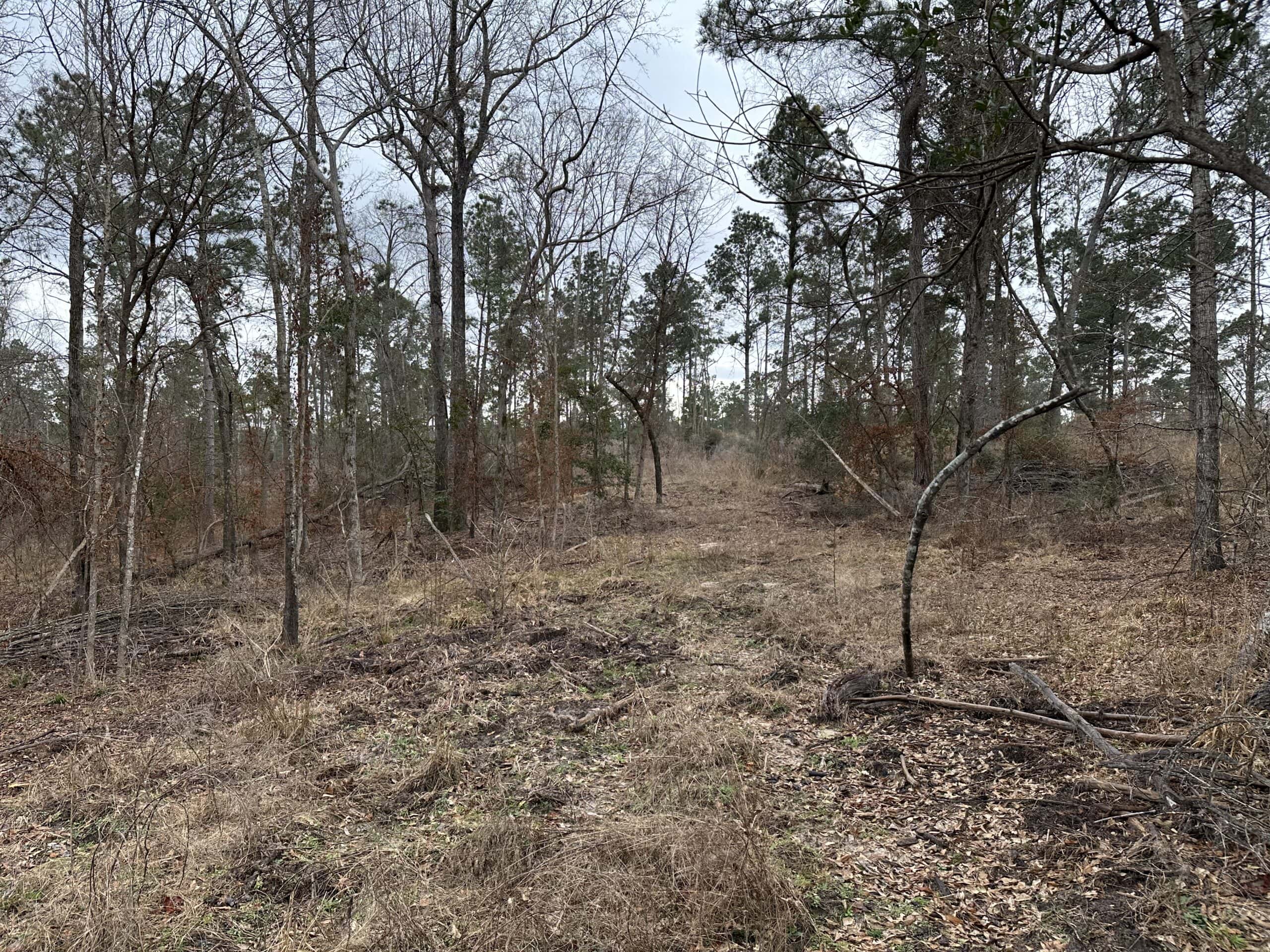 East Texas Recreational/Hunting Land For Sale