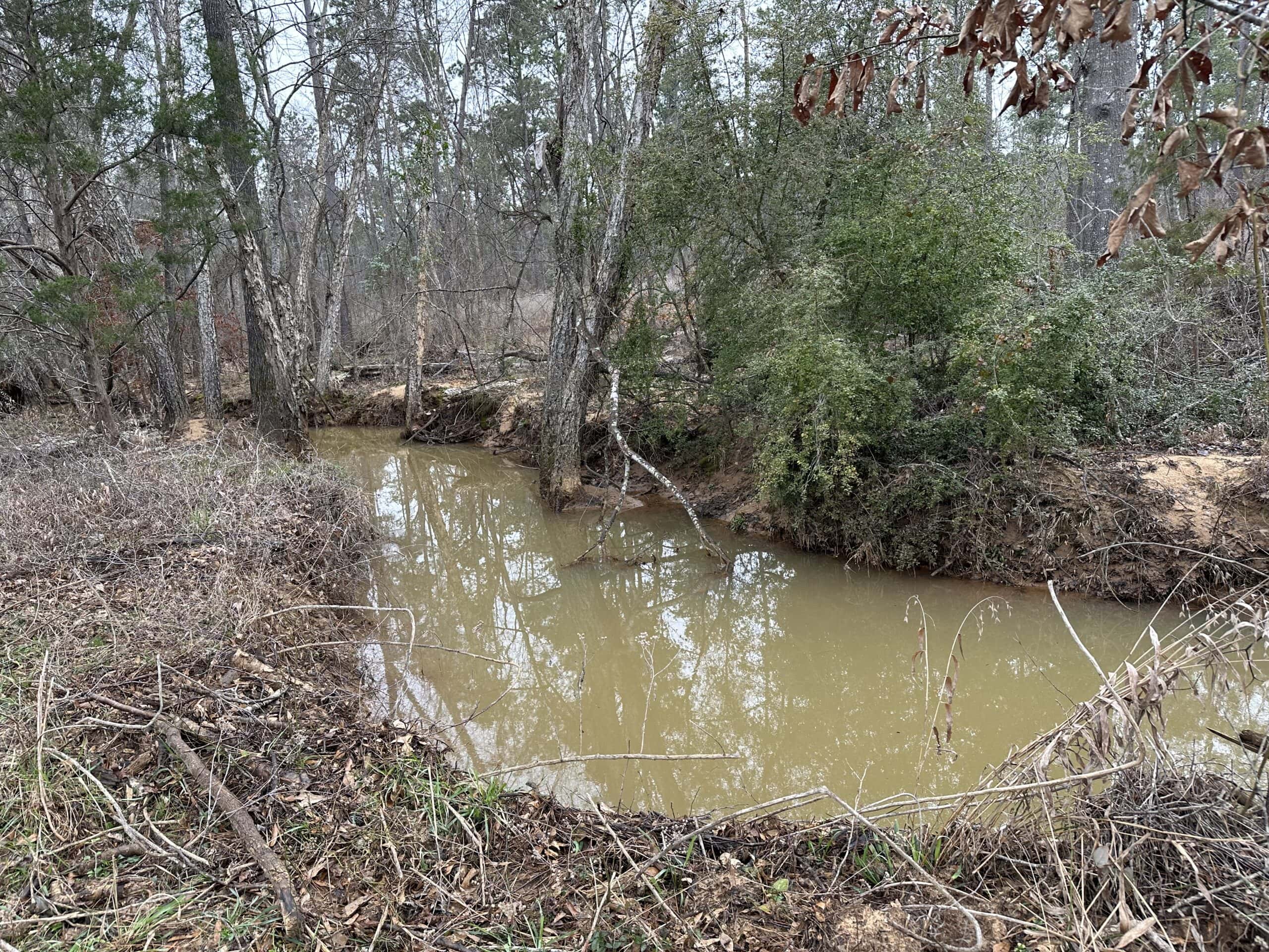 East Texas Recreational/Hunting Land For Sale