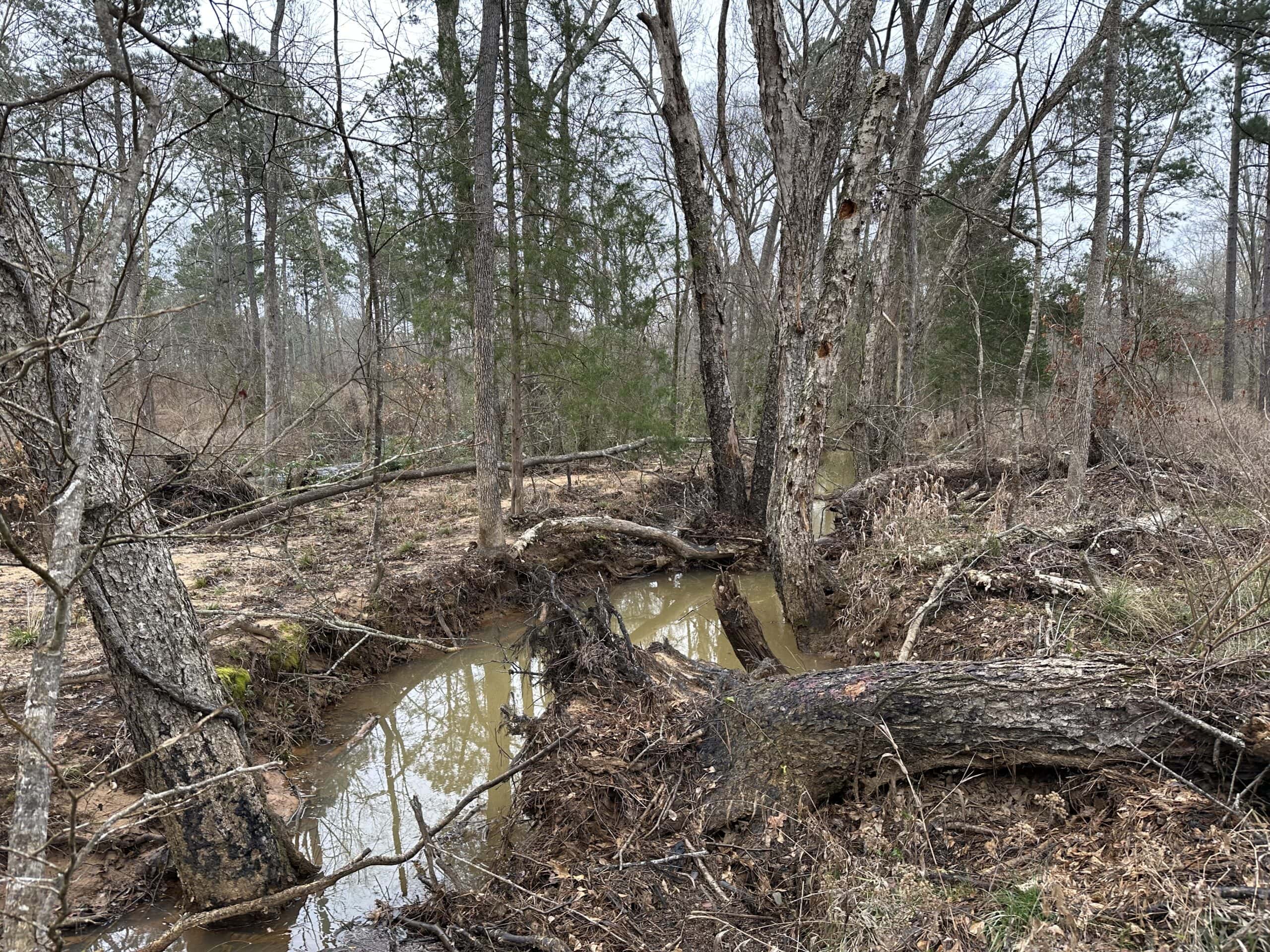 East Texas Recreational/Hunting Land For Sale
