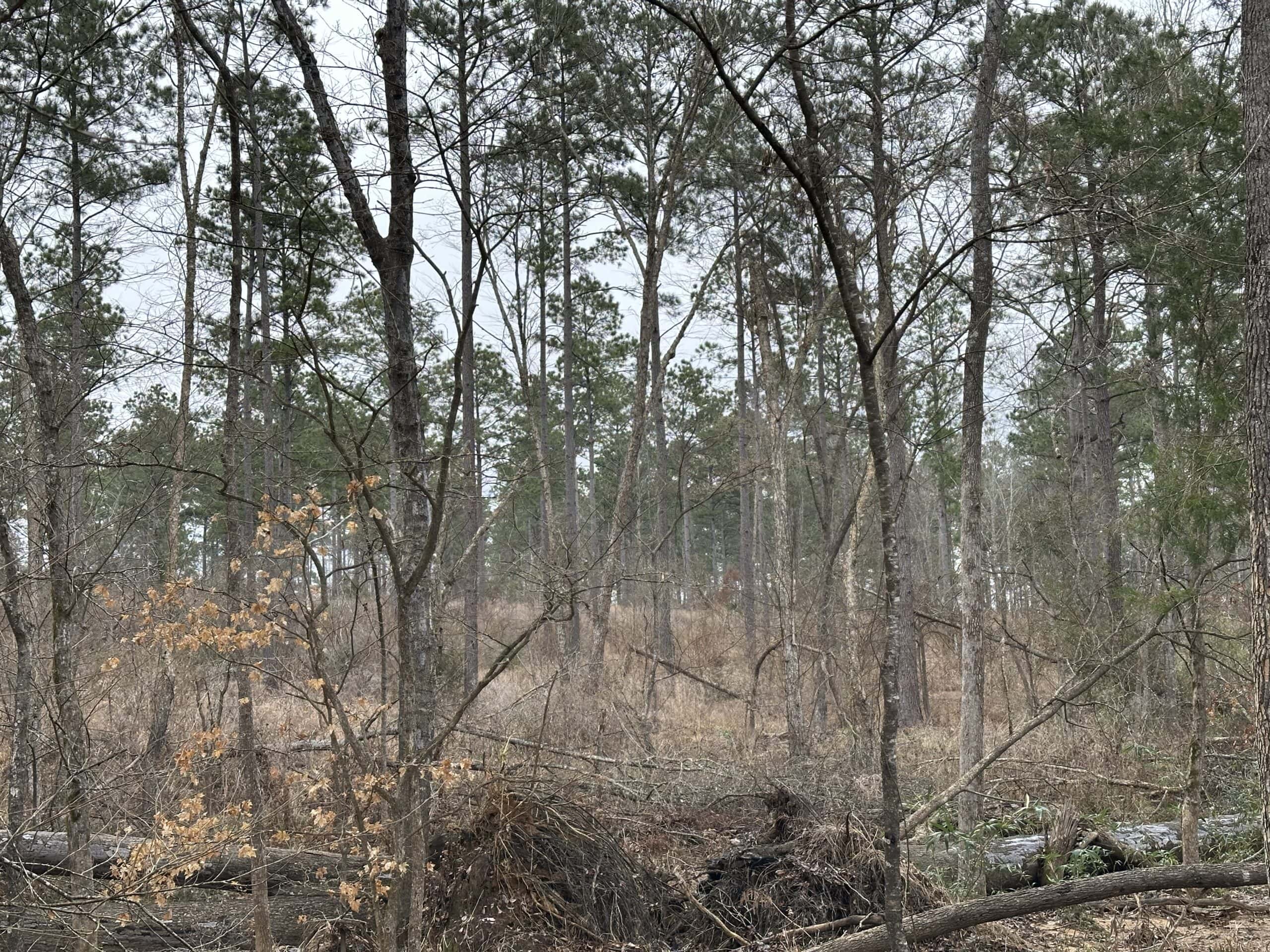 East Texas Recreational/Hunting Land For Sale