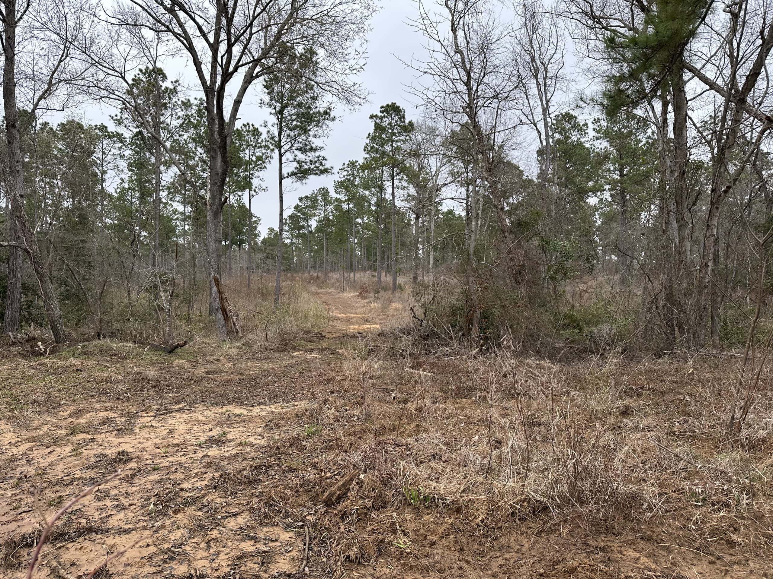 East Texas Recreational/Hunting Land For Sale