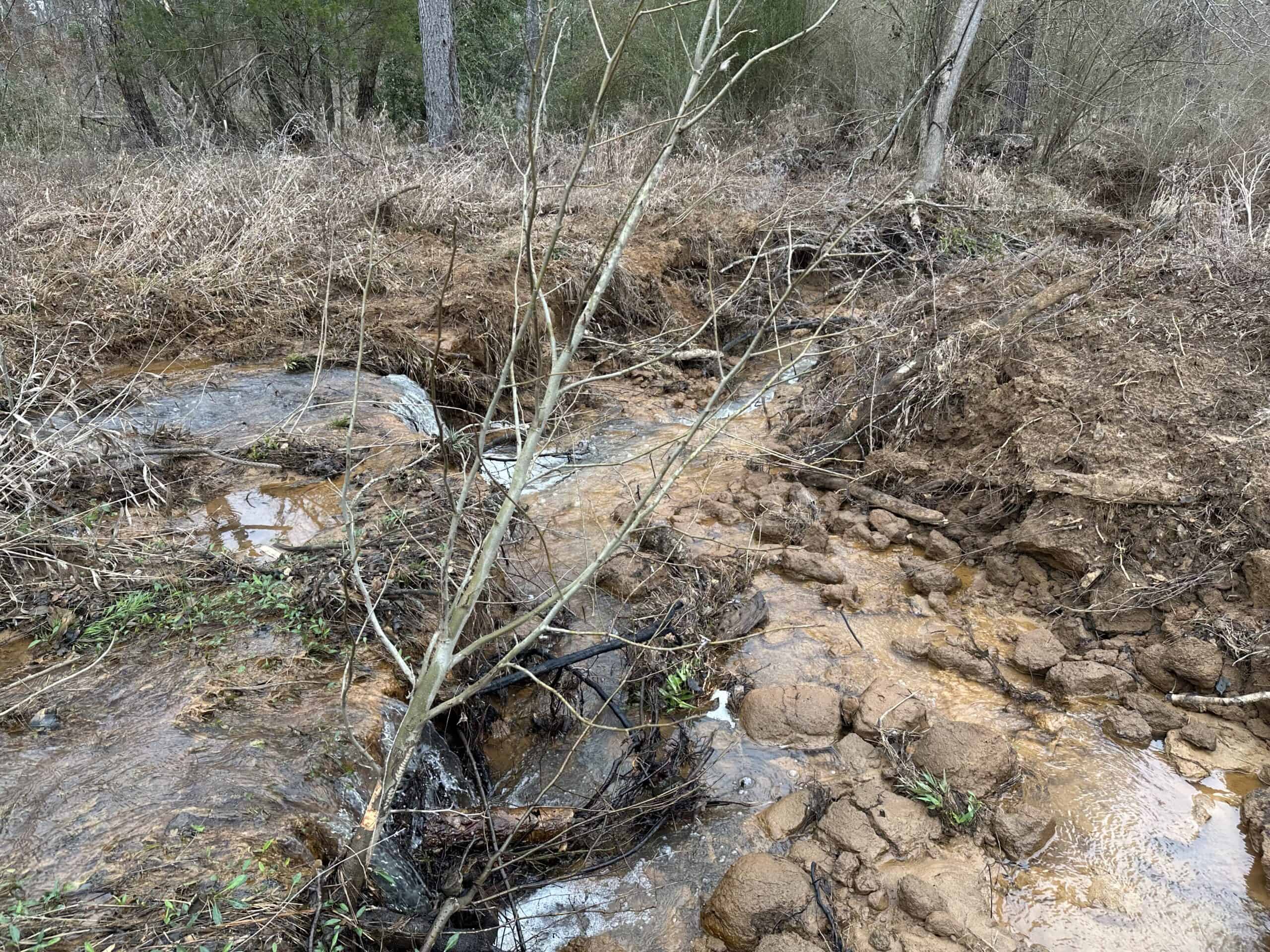East Texas Recreational/Hunting Land For Sale