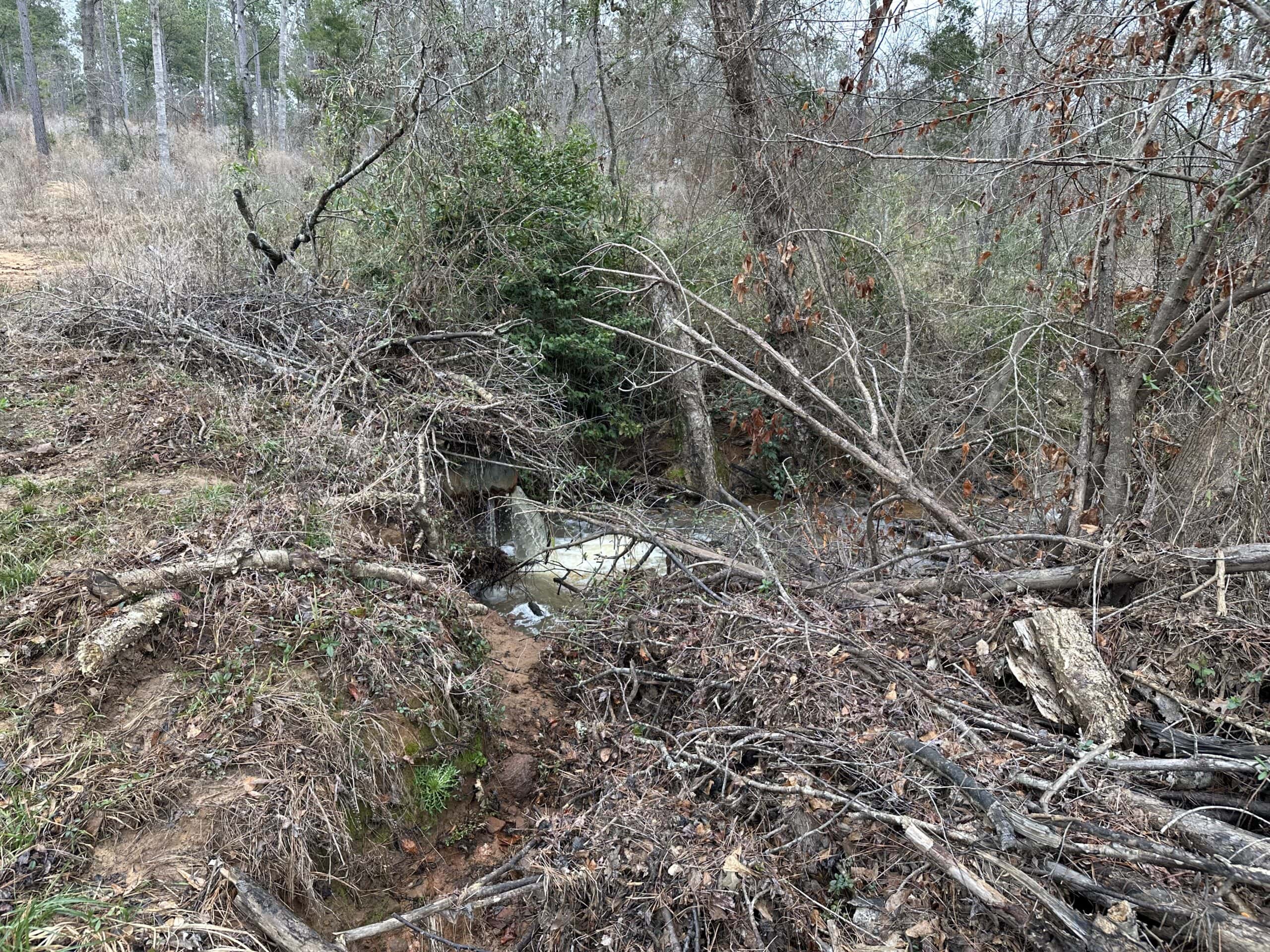 East Texas Recreational/Hunting Land For Sale