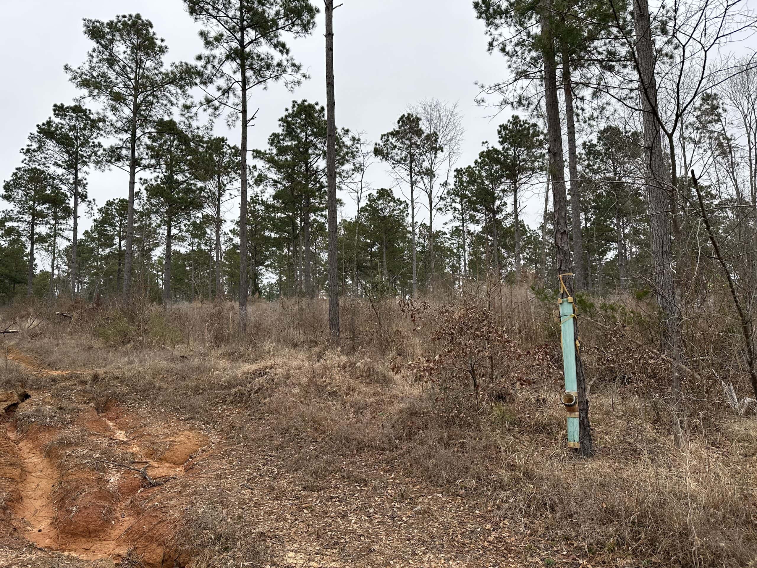 East Texas Recreational/Hunting Land For Sale