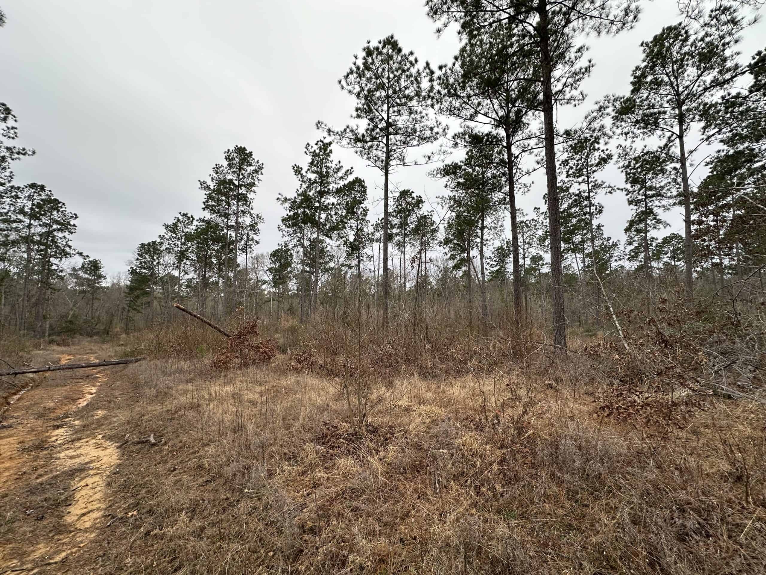 East Texas Recreational/Hunting Land For Sale