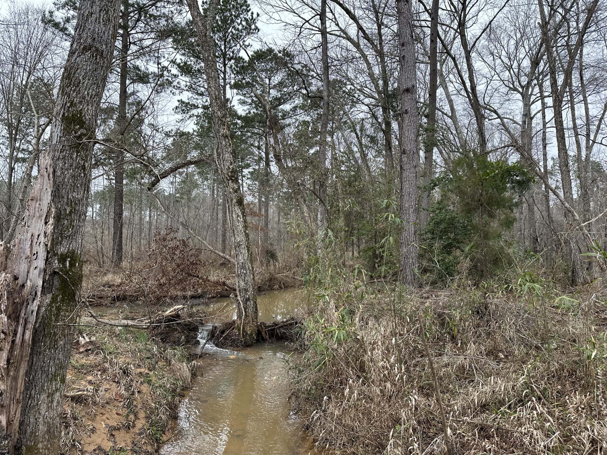 East Texas Recreational/Hunting Land For Sale