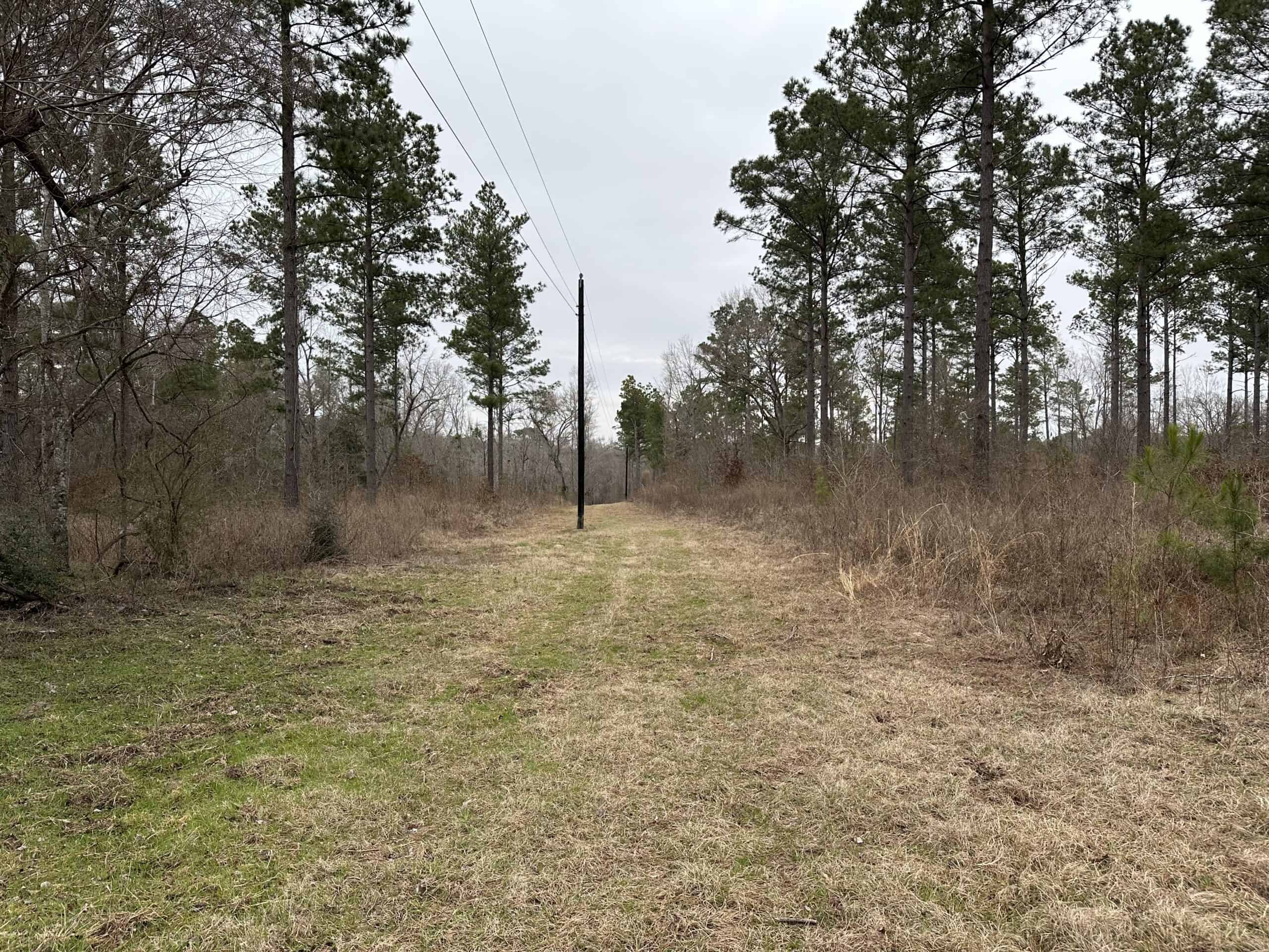 East Texas Recreational/Hunting Land For Sale