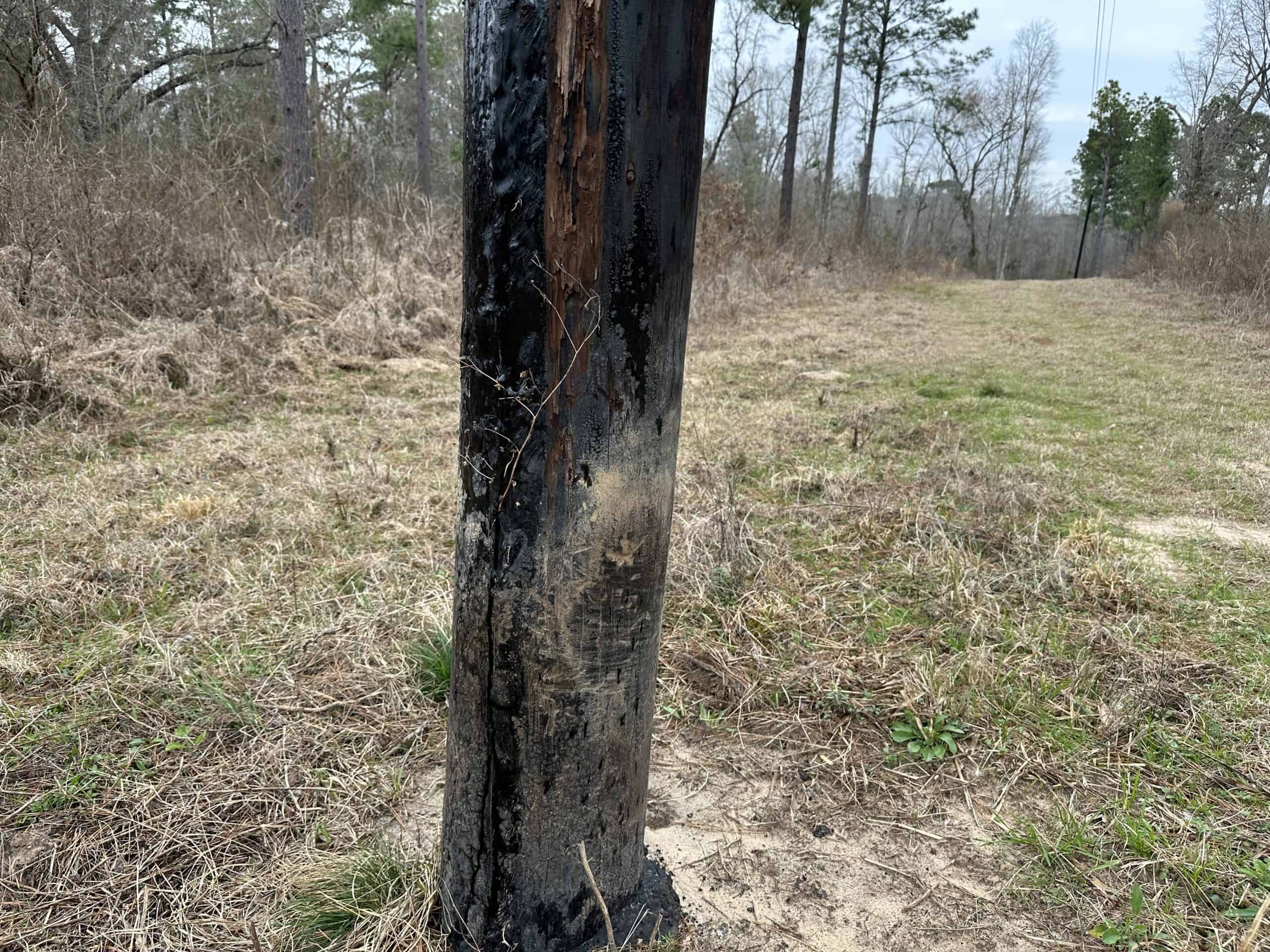 East Texas Recreational/Hunting Land For Sale