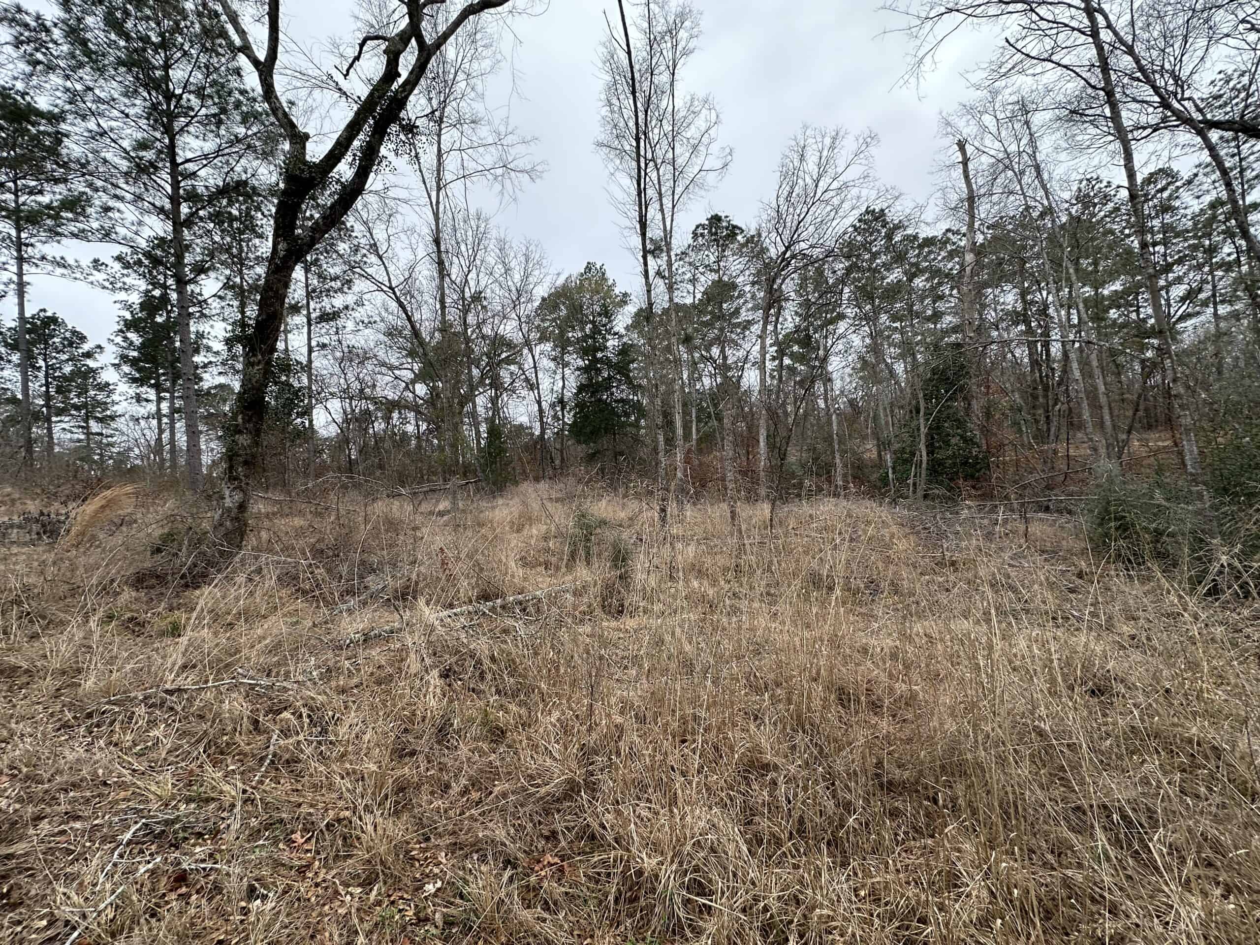 East Texas Recreational/Hunting Land For Sale