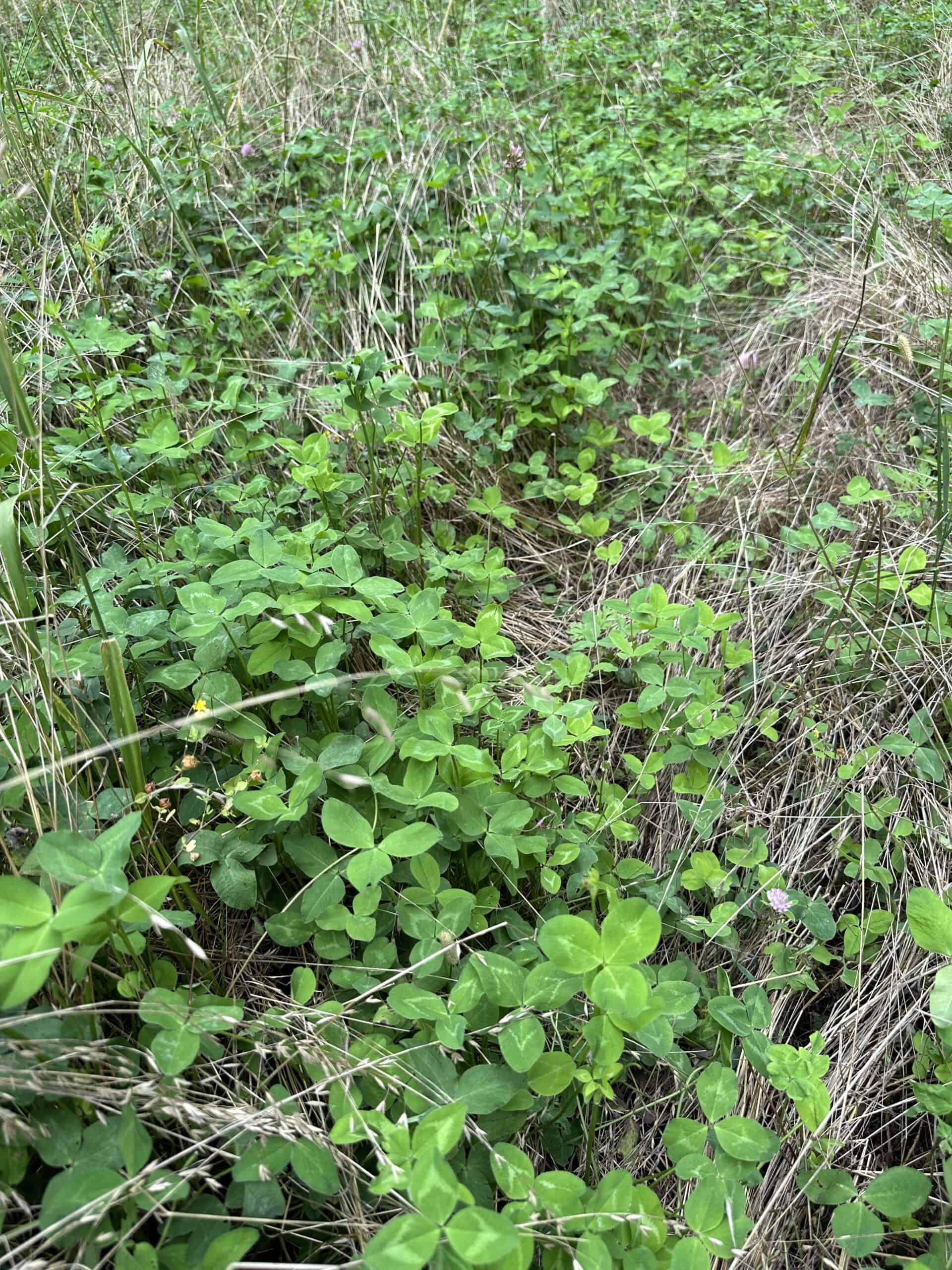 Adair County, MO Acreage FOR SALE!