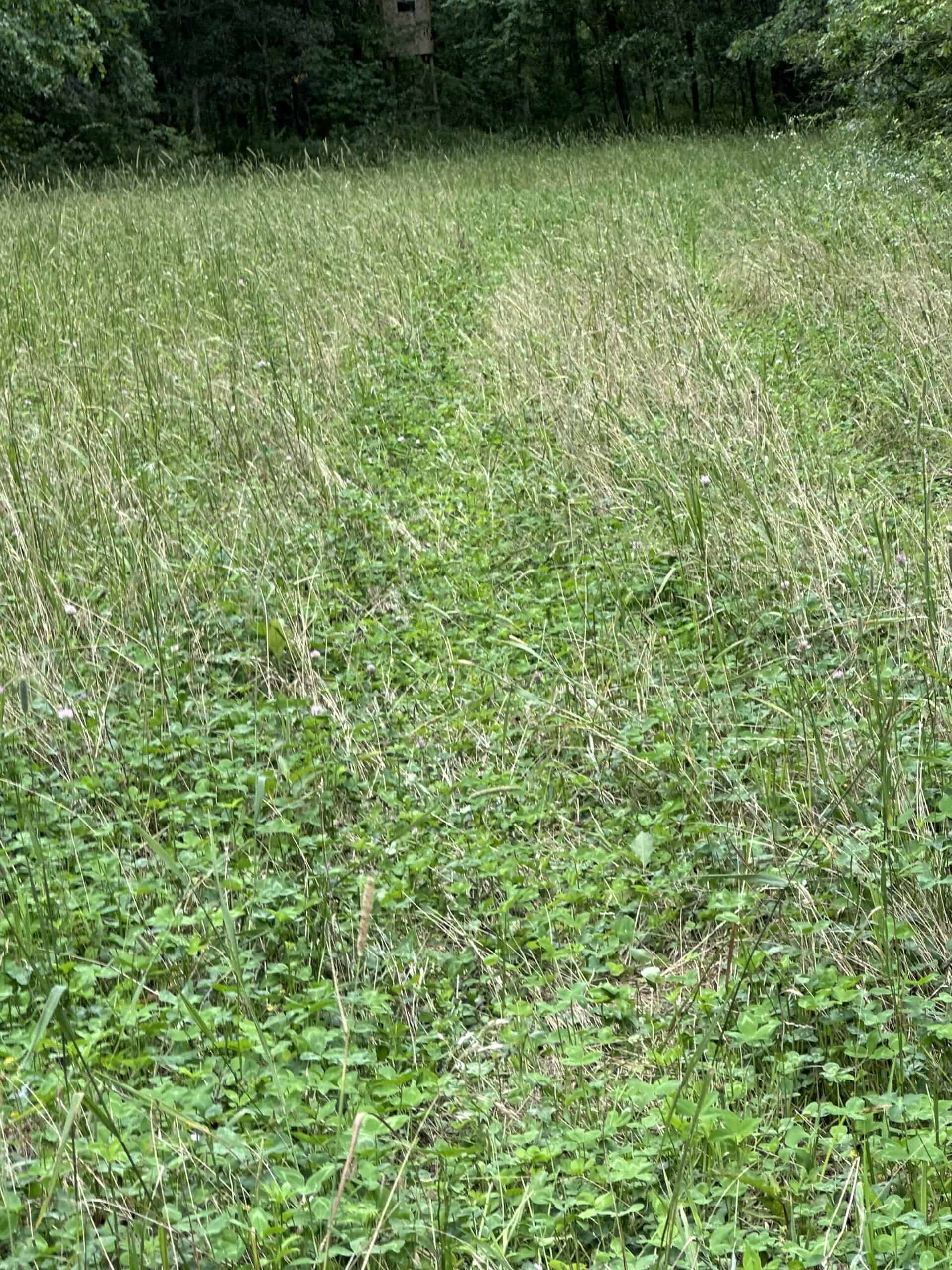 Adair County, MO Acreage FOR SALE!