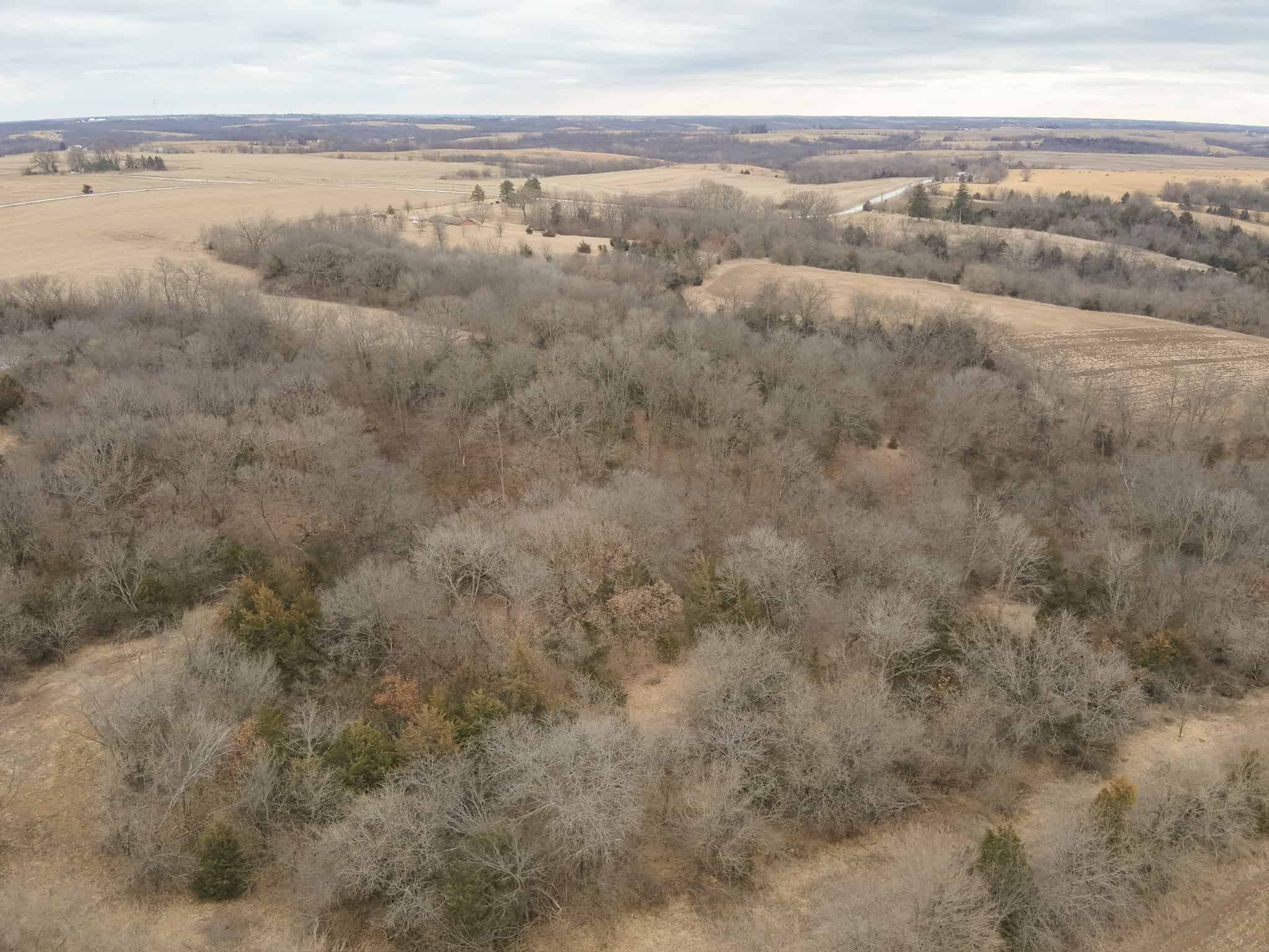95+/- Acres Marion County, Iowa– Hunting, Income, and Scenic Building Sites