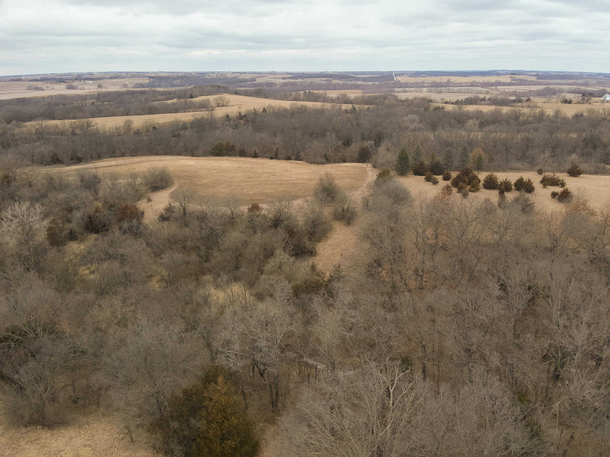 95+/- Acres Marion County, Iowa– Hunting, Income, and Scenic Building Sites