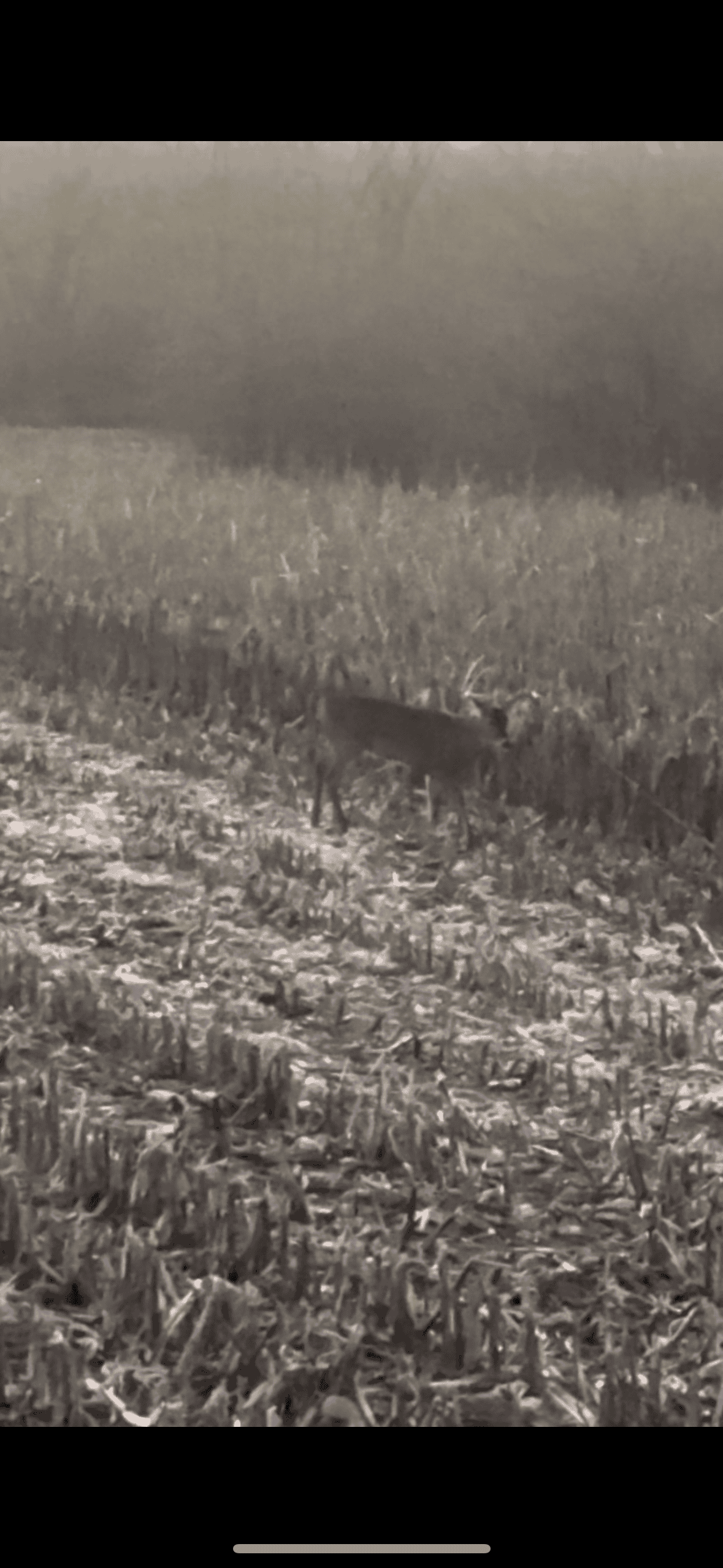 95+/- Acres Marion County, Iowa– Hunting, Income, and Scenic Building Sites