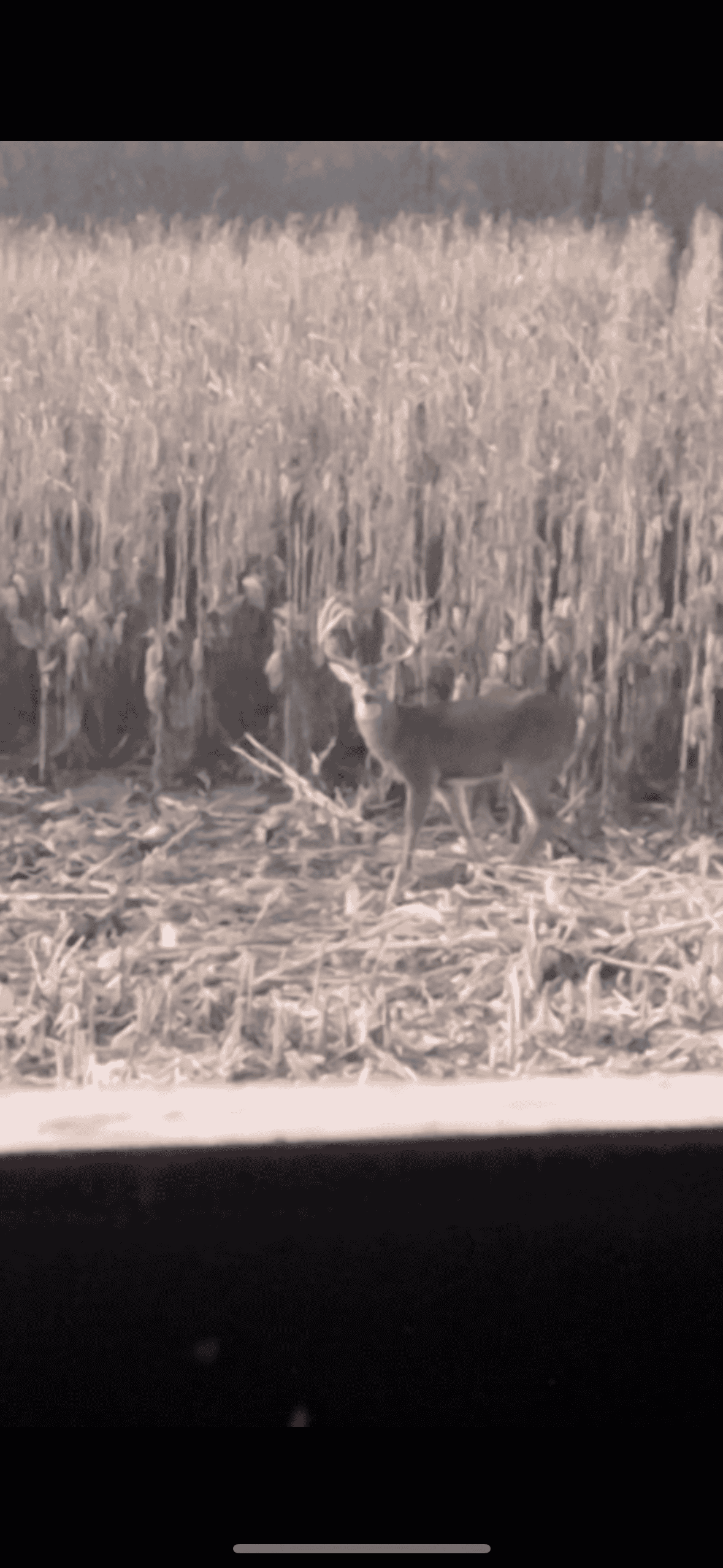 95+/- Acres Marion County, Iowa– Hunting, Income, and Scenic Building Sites