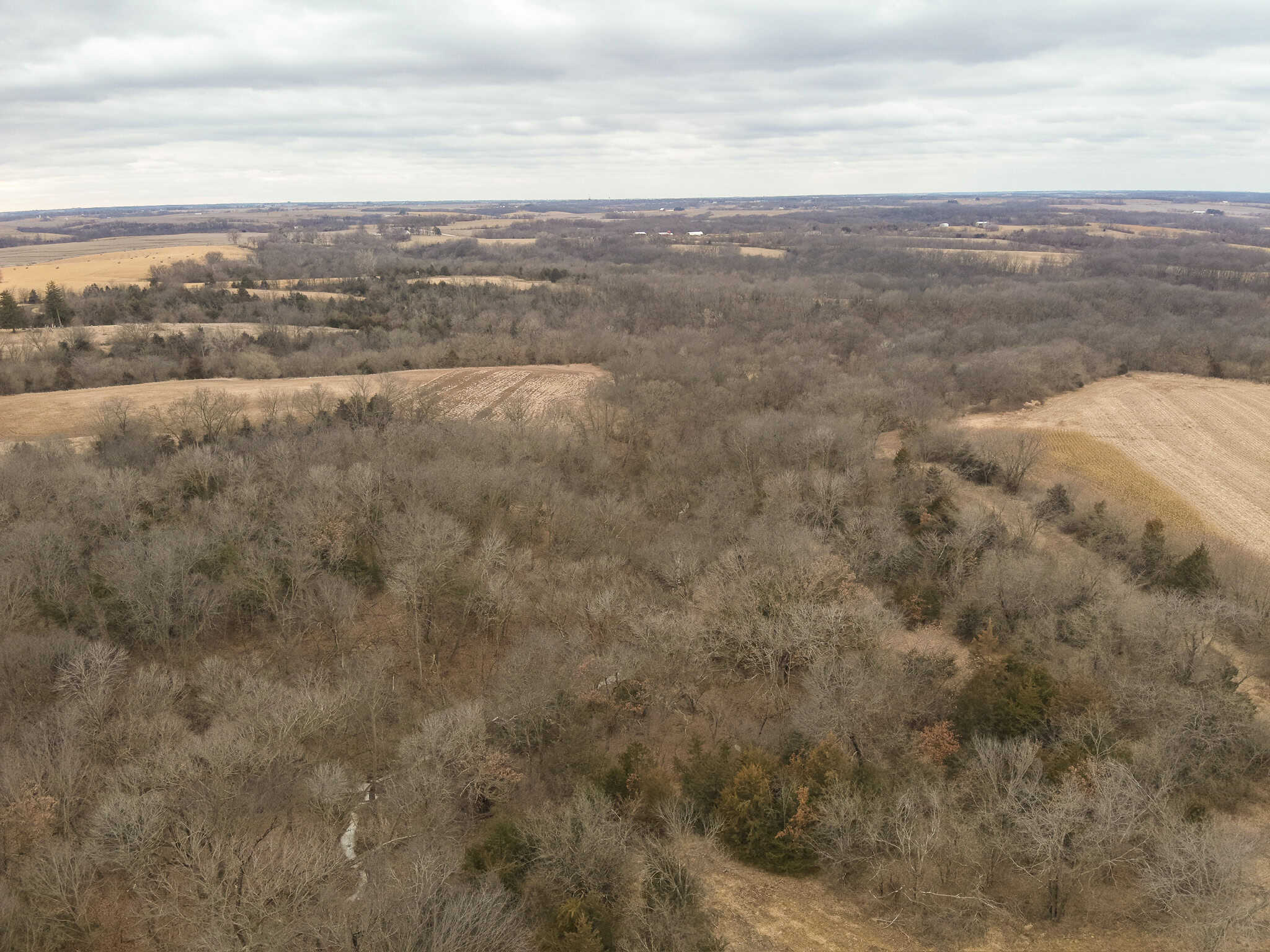 95+/- Acres Marion County, Iowa– Hunting, Income, and Scenic Building Sites