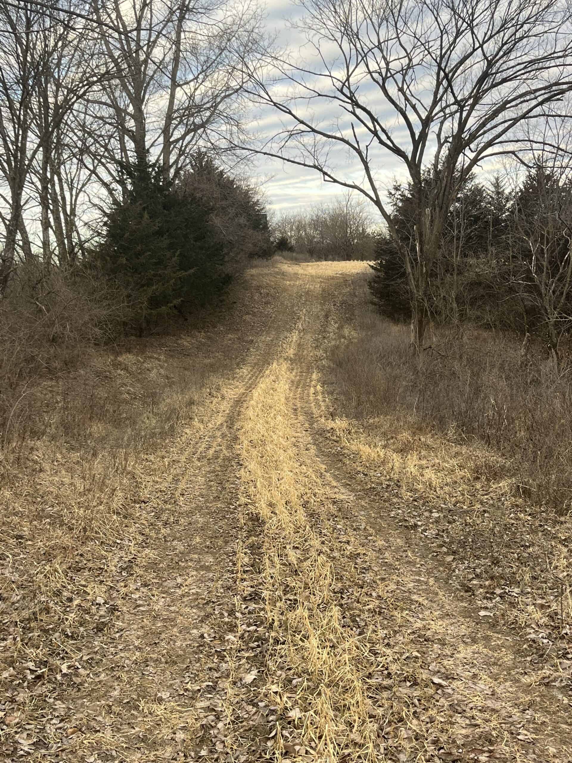 95+/- Acres Marion County, Iowa– Hunting, Income, and Scenic Building Sites