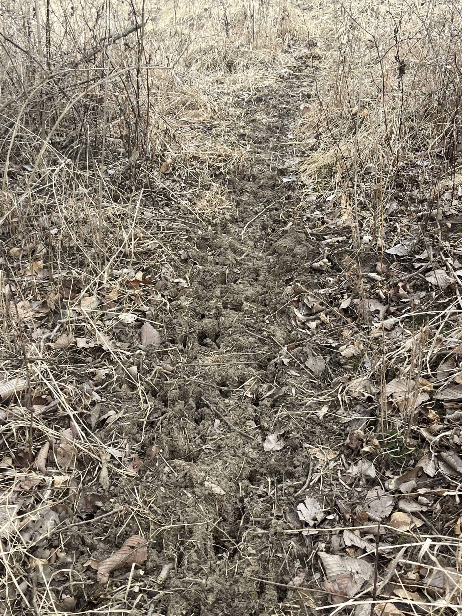 95+/- Acres Marion County, Iowa– Hunting, Income, and Scenic Building Sites