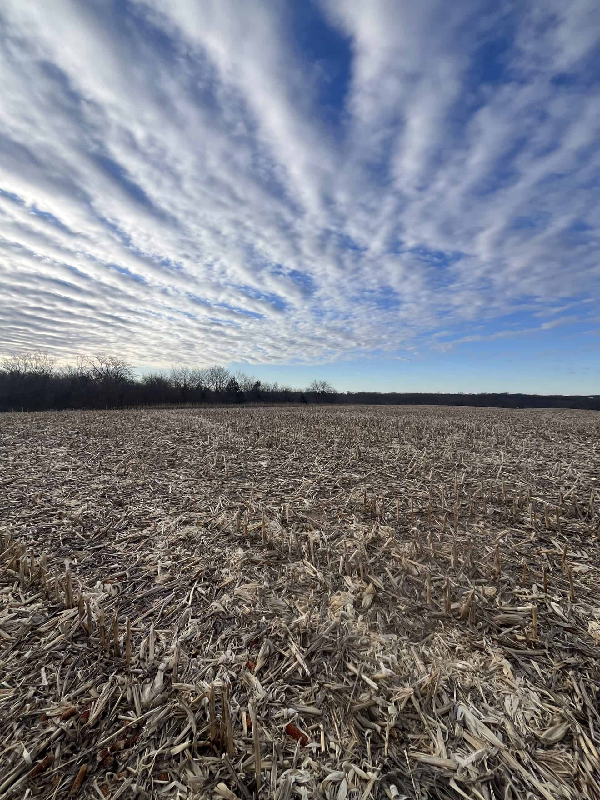 95+/- Acres Marion County, Iowa– Hunting, Income, and Scenic Building Sites