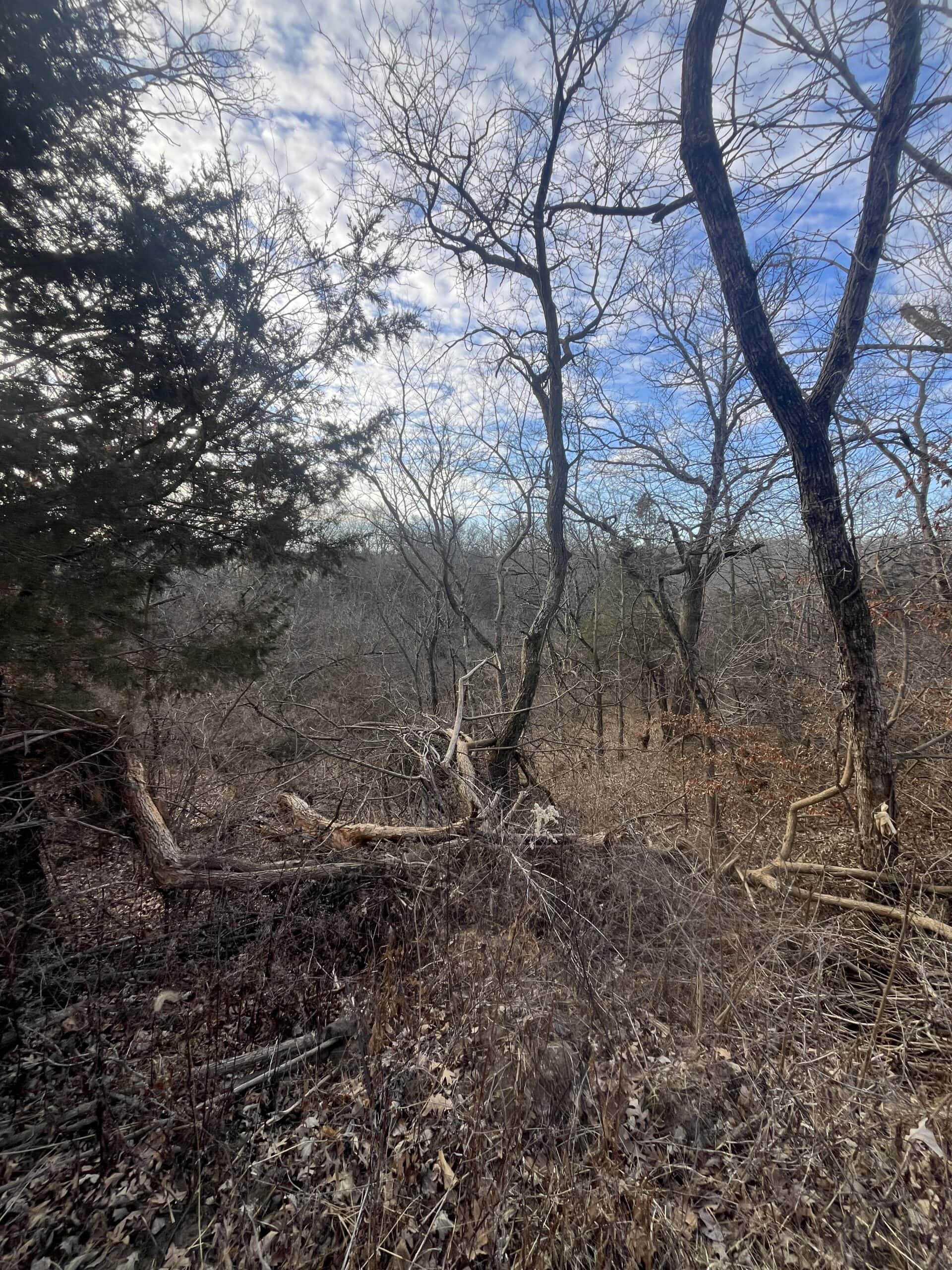 95+/- Acres Marion County, Iowa– Hunting, Income, and Scenic Building Sites