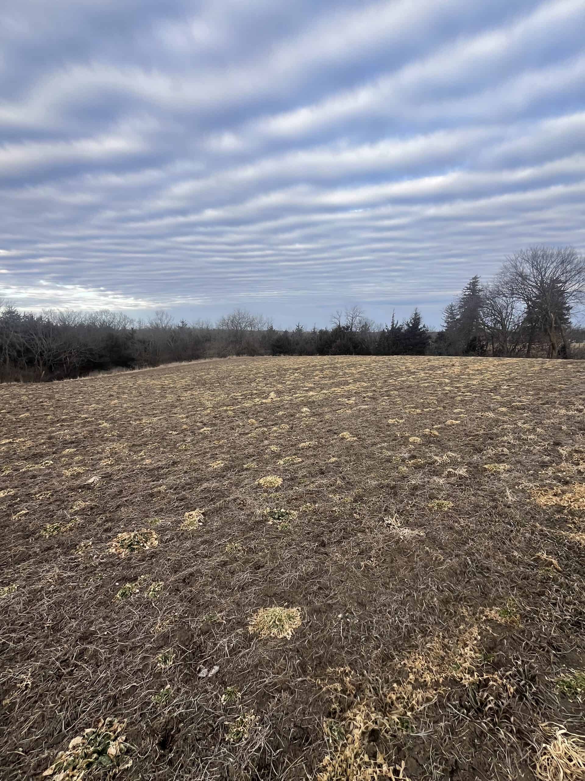 95+/- Acres Marion County, Iowa– Hunting, Income, and Scenic Building Sites