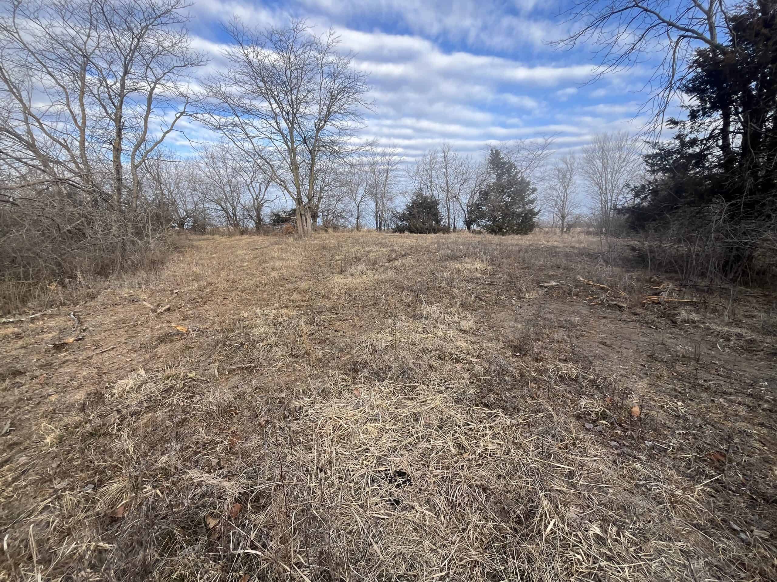 95+/- Acres Marion County, Iowa– Hunting, Income, and Scenic Building Sites