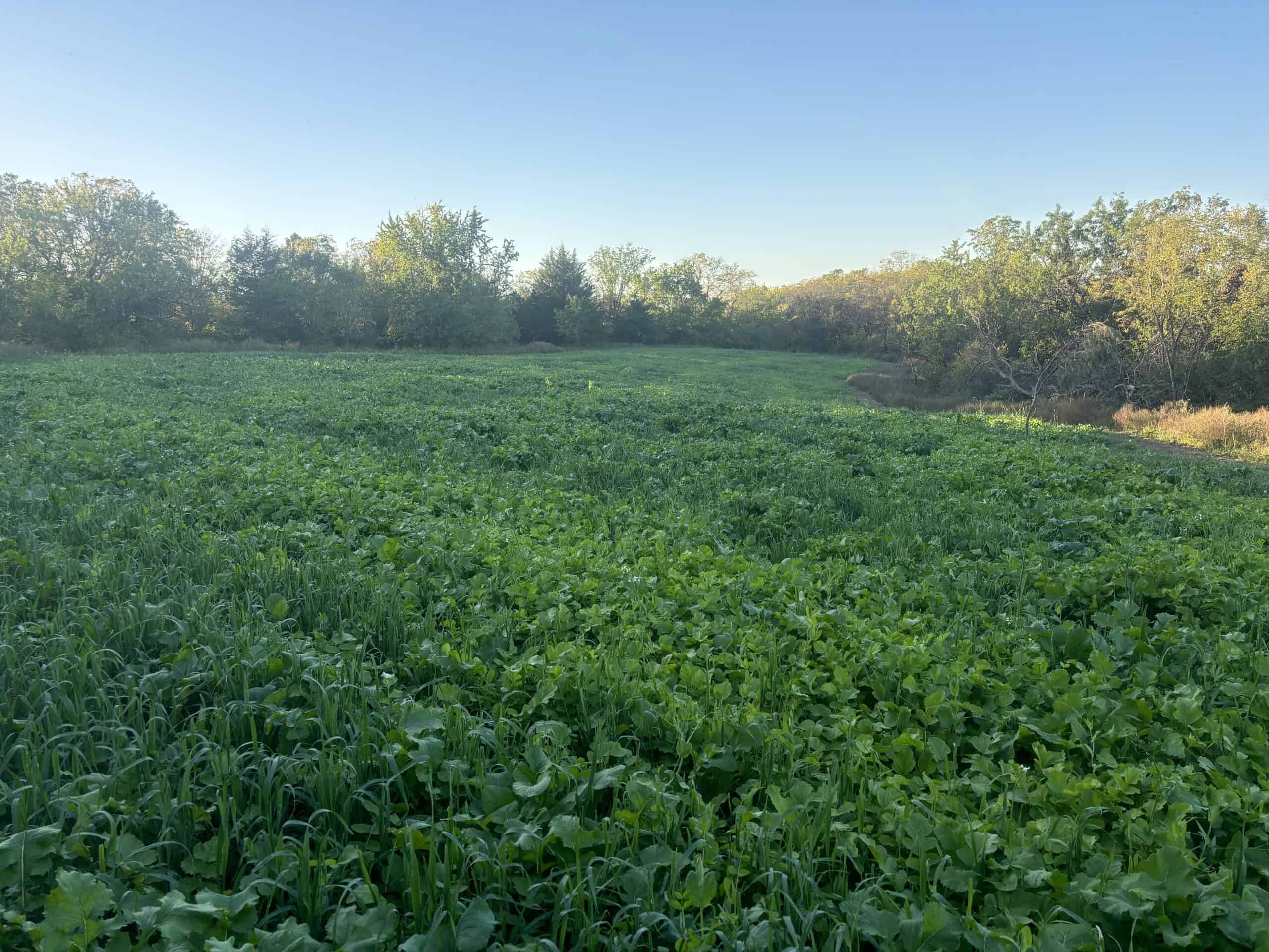 95+/- Acres Marion County, Iowa– Hunting, Income, and Scenic Building Sites