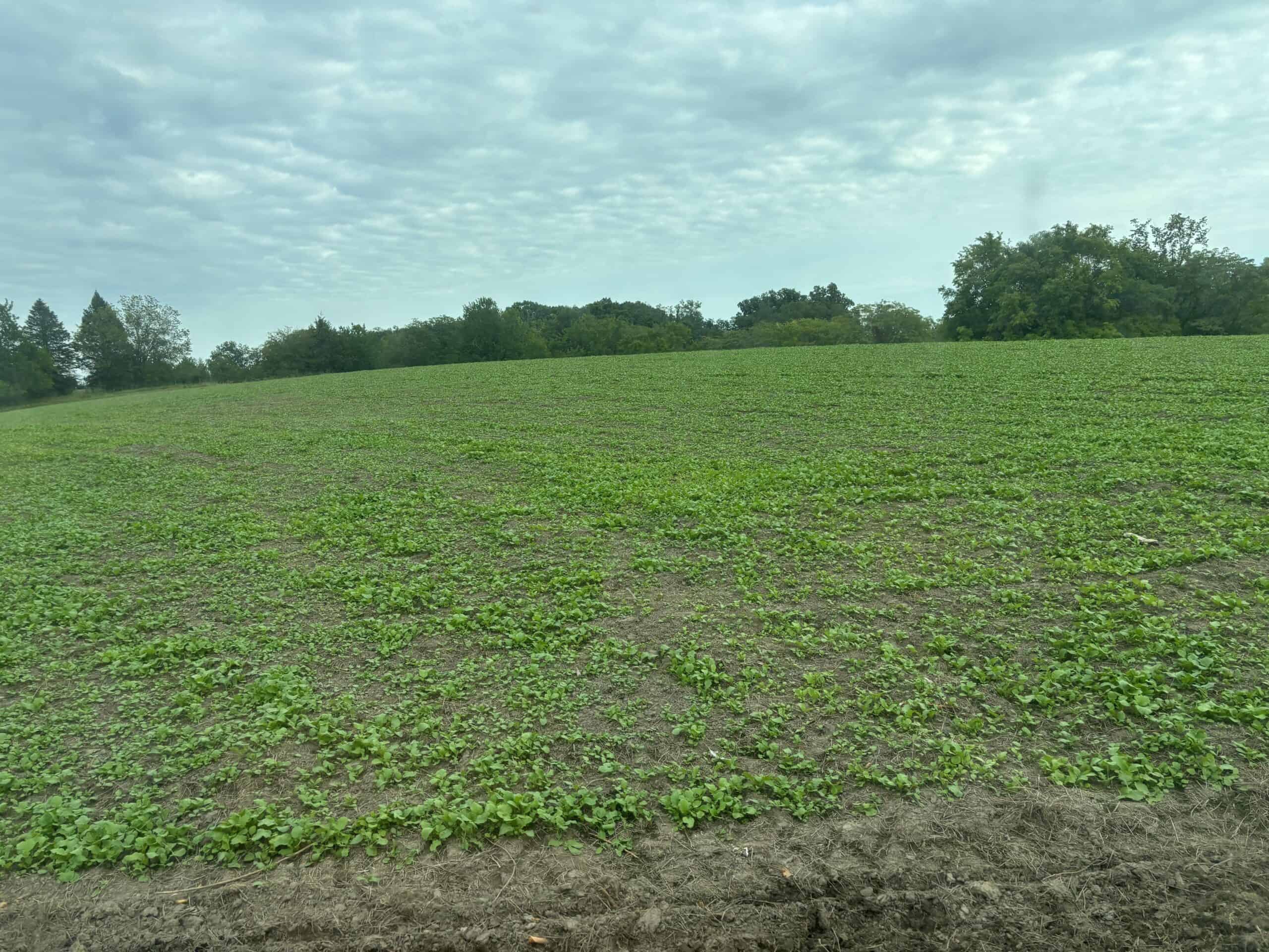 95+/- Acres Marion County, Iowa– Hunting, Income, and Scenic Building Sites