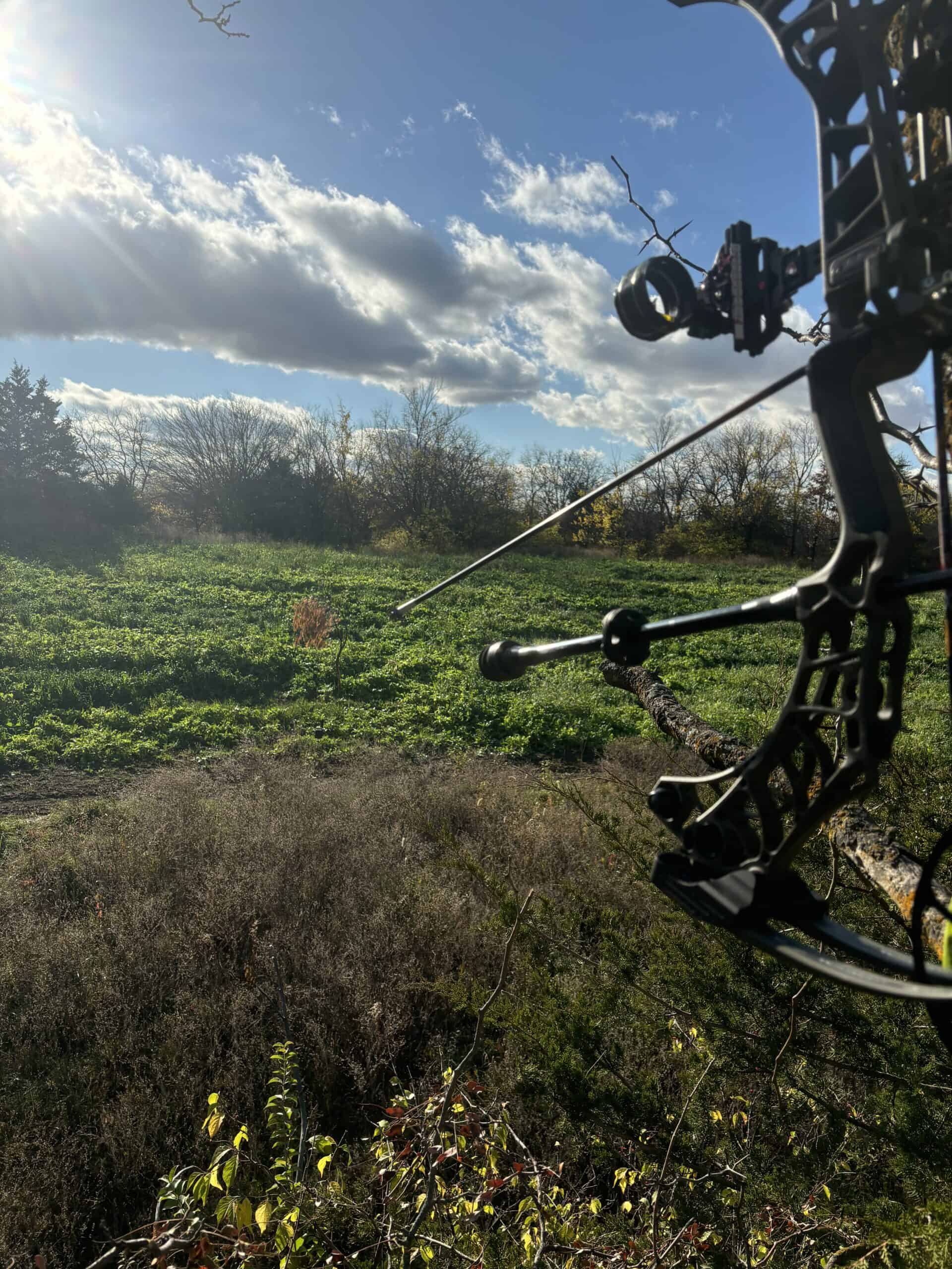 95+/- Acres Marion County, Iowa– Hunting, Income, and Scenic Building Sites