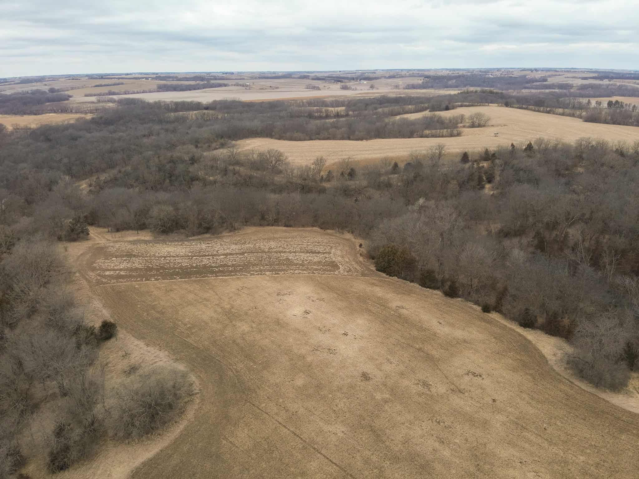 95+/- Acres Marion County, Iowa– Hunting, Income, and Scenic Building Sites