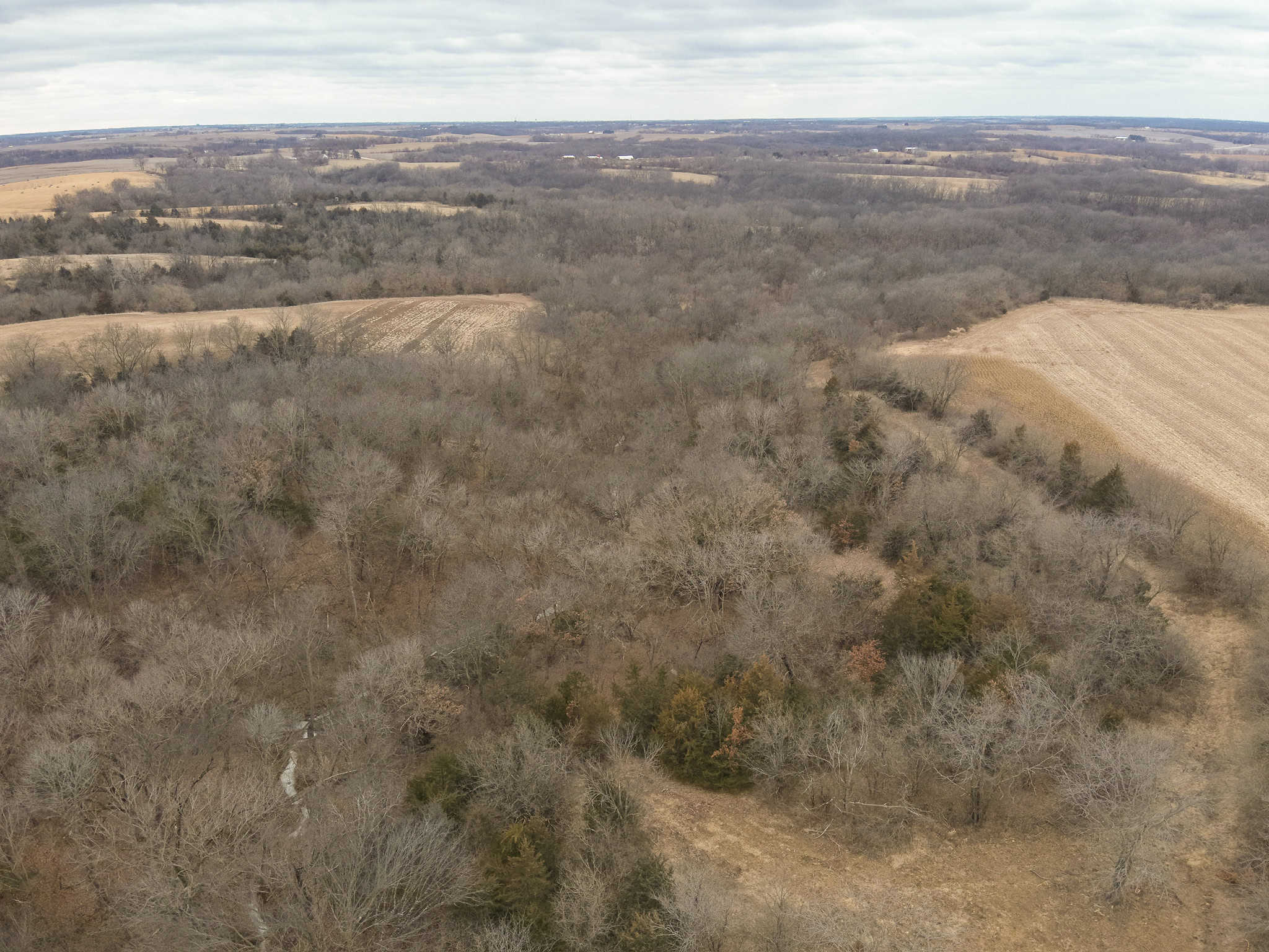 95+/- Acres Marion County, Iowa– Hunting, Income, and Scenic Building Sites
