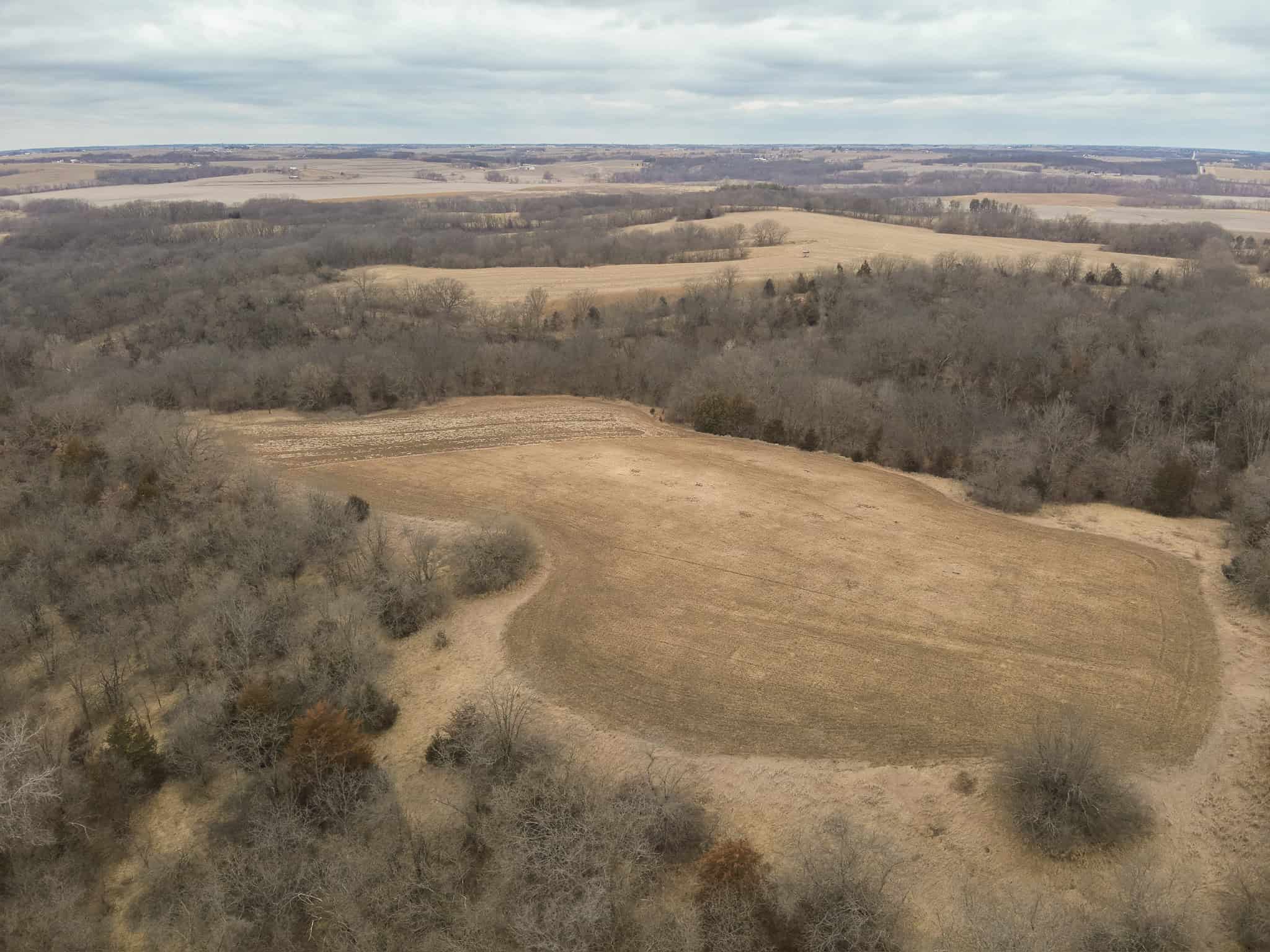 95+/- Acres Marion County, Iowa– Hunting, Income, and Scenic Building Sites
