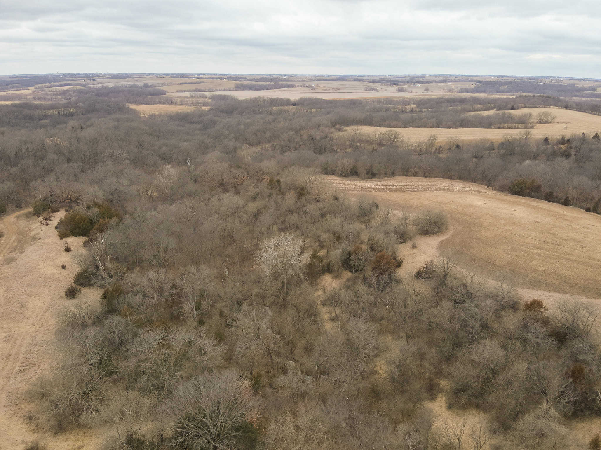 95+/- Acres Marion County, Iowa– Hunting, Income, and Scenic Building Sites