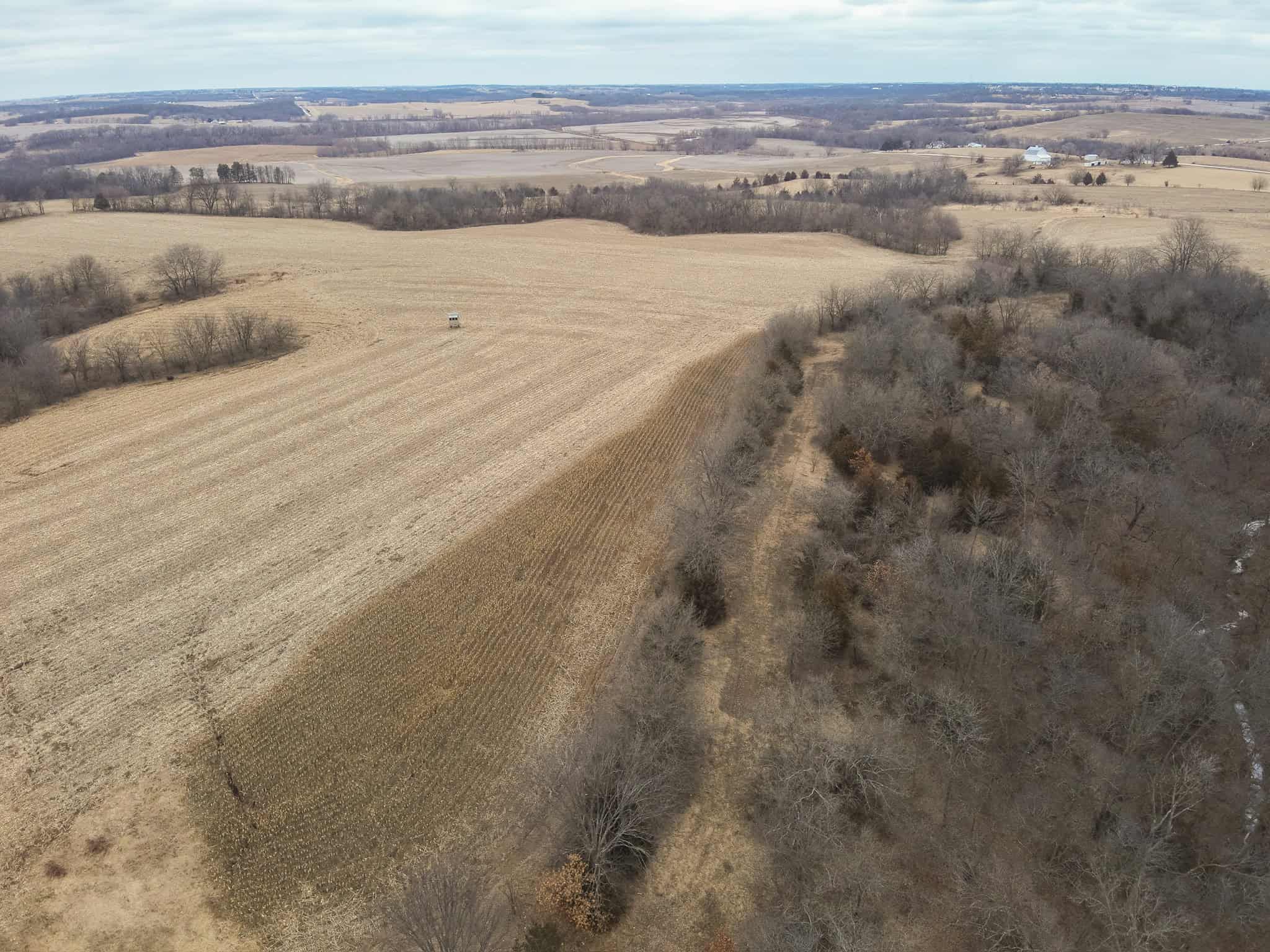 95+/- Acres Marion County, Iowa– Hunting, Income, and Scenic Building Sites