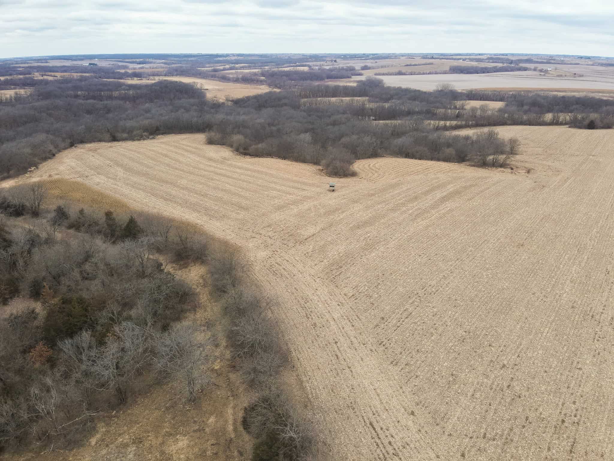 95+/- Acres Marion County, Iowa– Hunting, Income, and Scenic Building Sites
