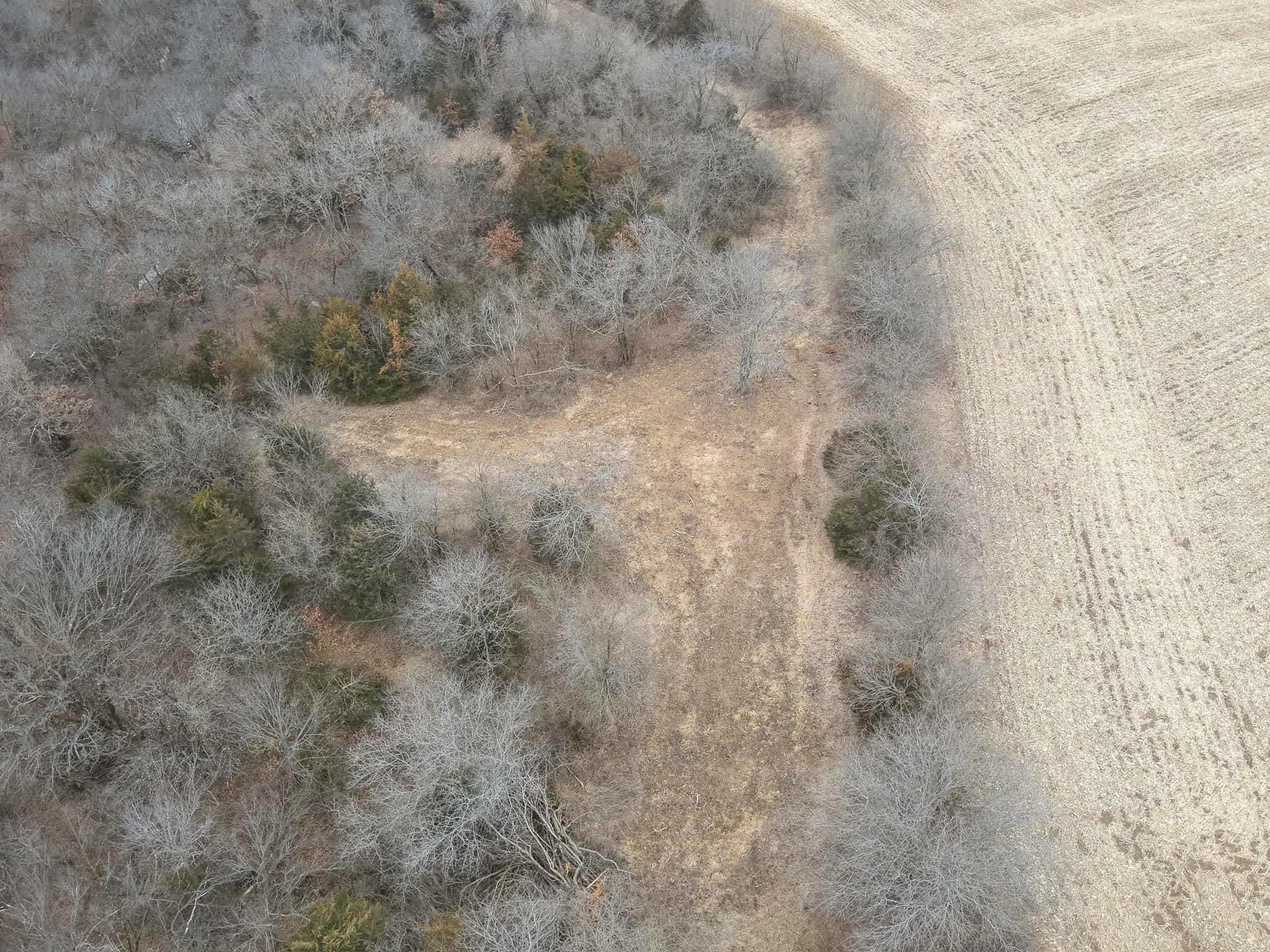 95+/- Acres Marion County, Iowa– Hunting, Income, and Scenic Building Sites