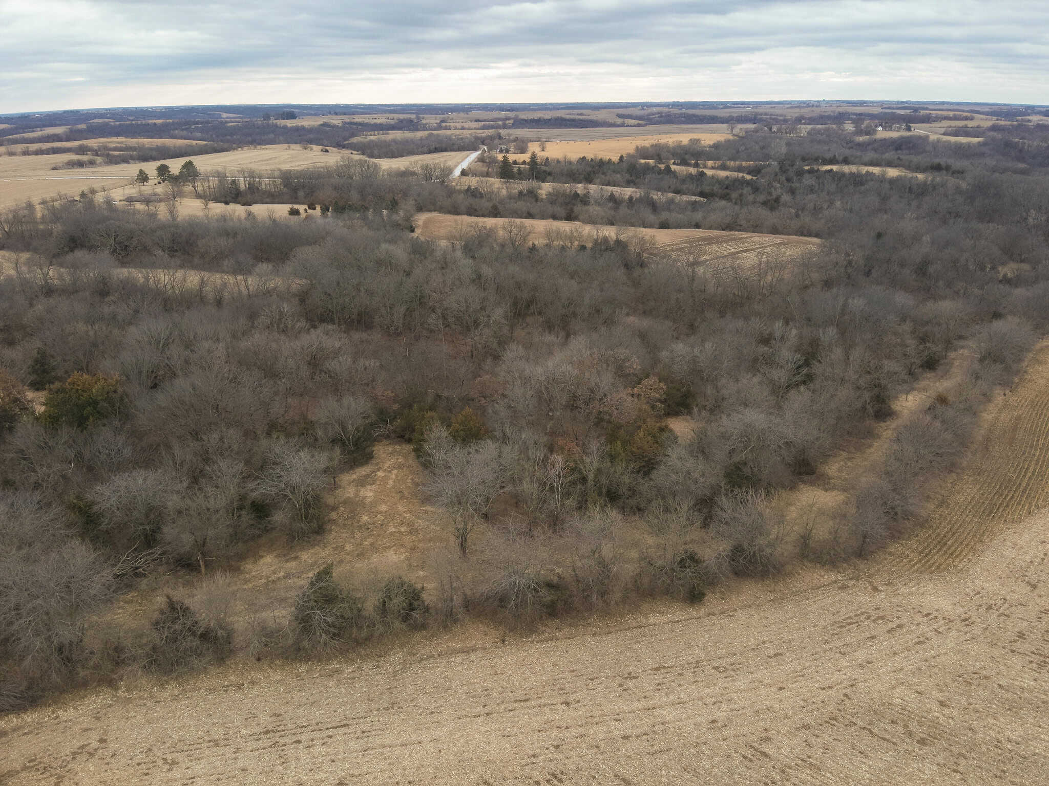 95+/- Acres Marion County, Iowa– Hunting, Income, and Scenic Building Sites