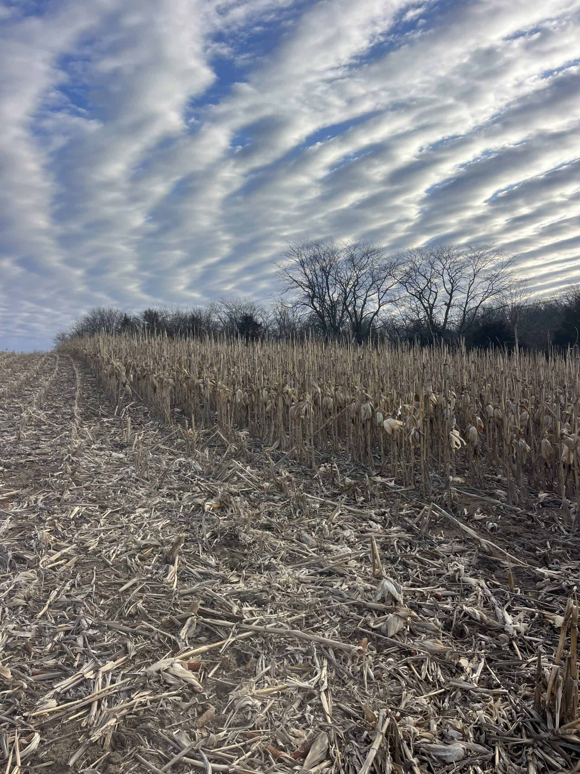 95+/- Acres Marion County, Iowa– Hunting, Income, and Scenic Building Sites
