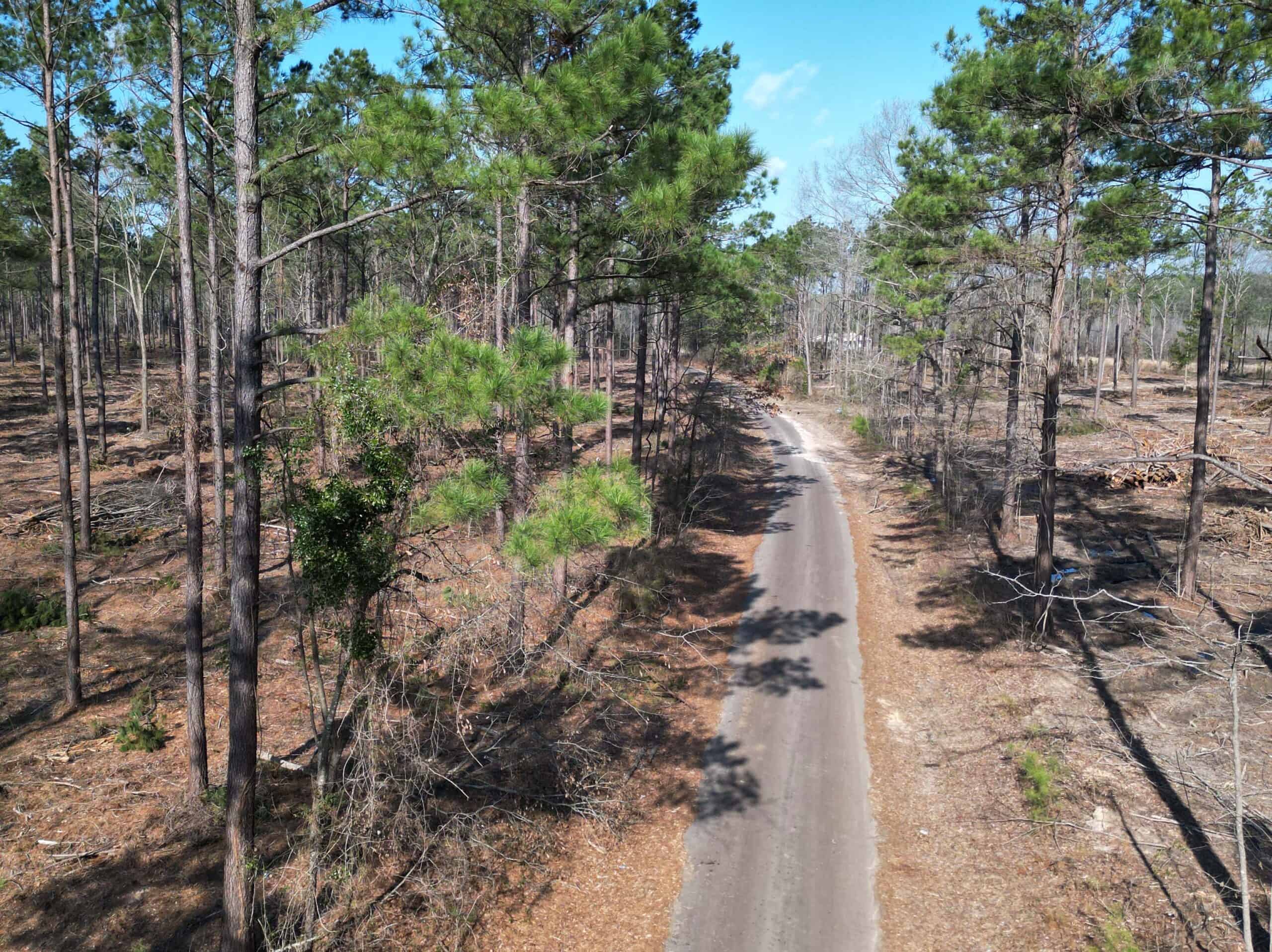 ±20 Acres Of East Texas Timberland/Homesite