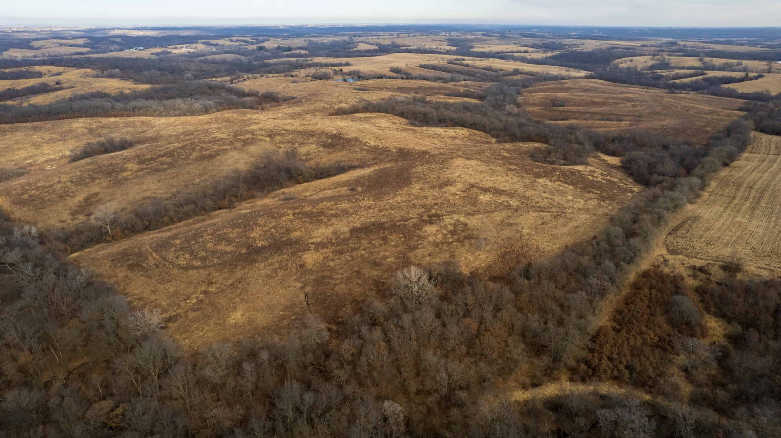 Secluded 240+/- Acre Hunting & Recreational Tract in a Low-Pressure Area of Southern Iowa