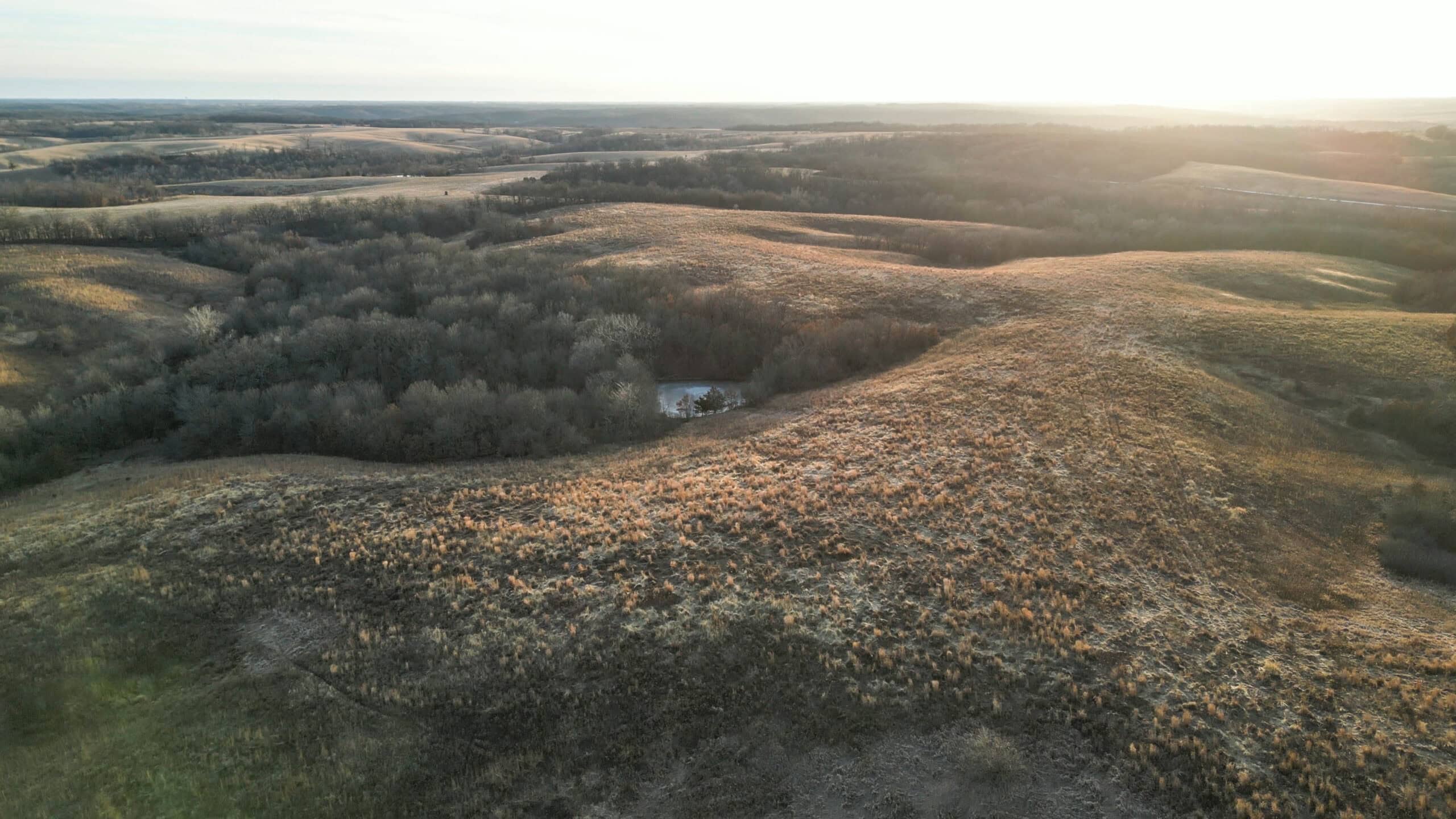 Secluded 240+/- Acre Hunting & Recreational Tract in a Low-Pressure Area of Southern Iowa