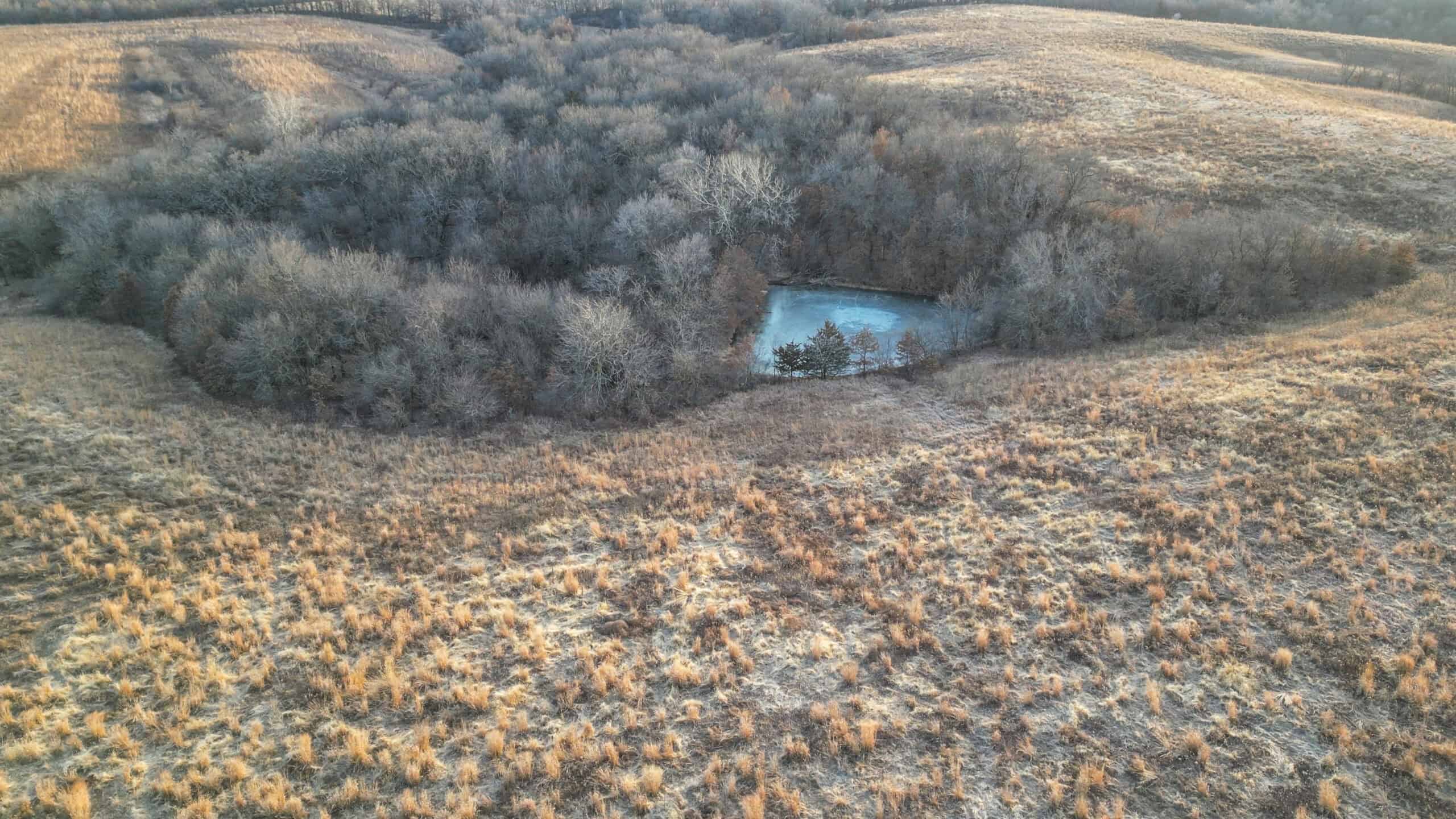 Secluded 240+/- Acre Hunting & Recreational Tract in a Low-Pressure Area of Southern Iowa