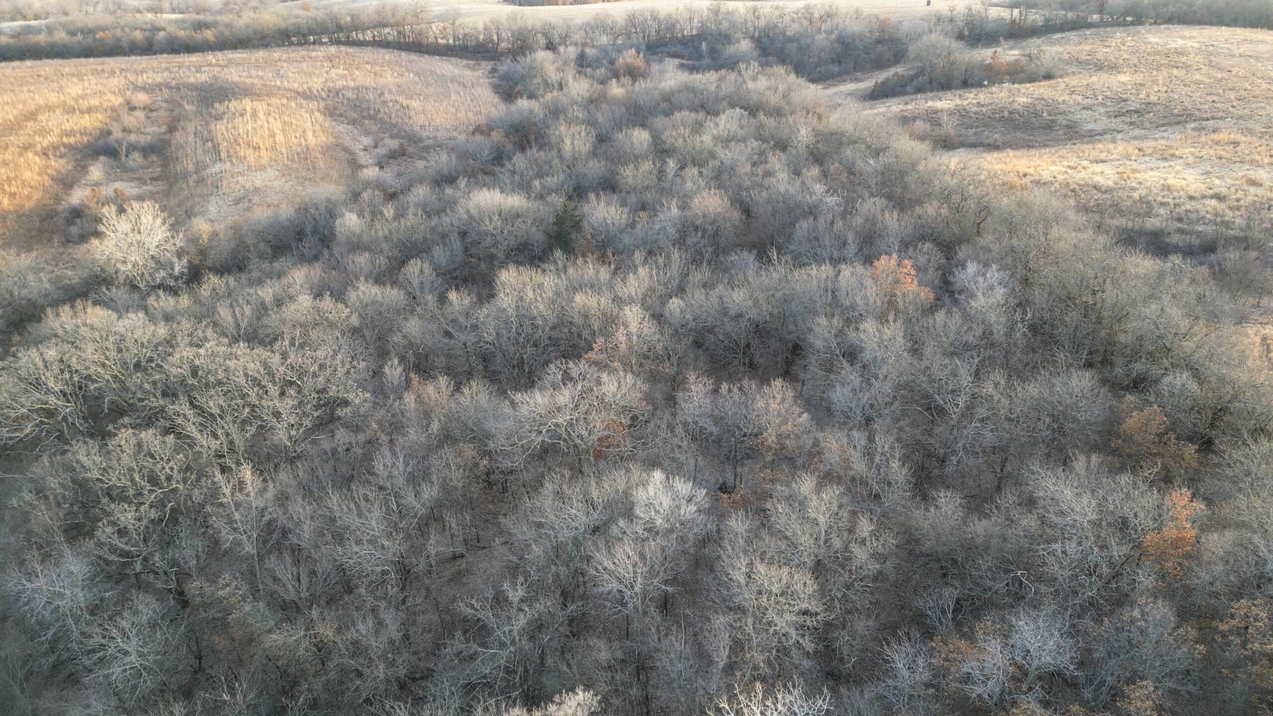 Secluded 240+/- Acre Hunting & Recreational Tract in a Low-Pressure Area of Southern Iowa