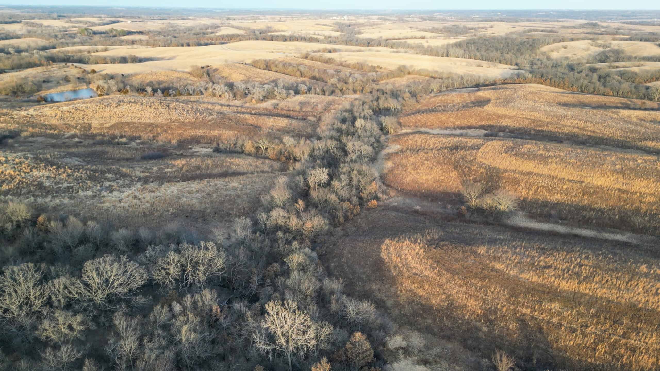 Secluded 240+/- Acre Hunting & Recreational Tract in a Low-Pressure Area of Southern Iowa