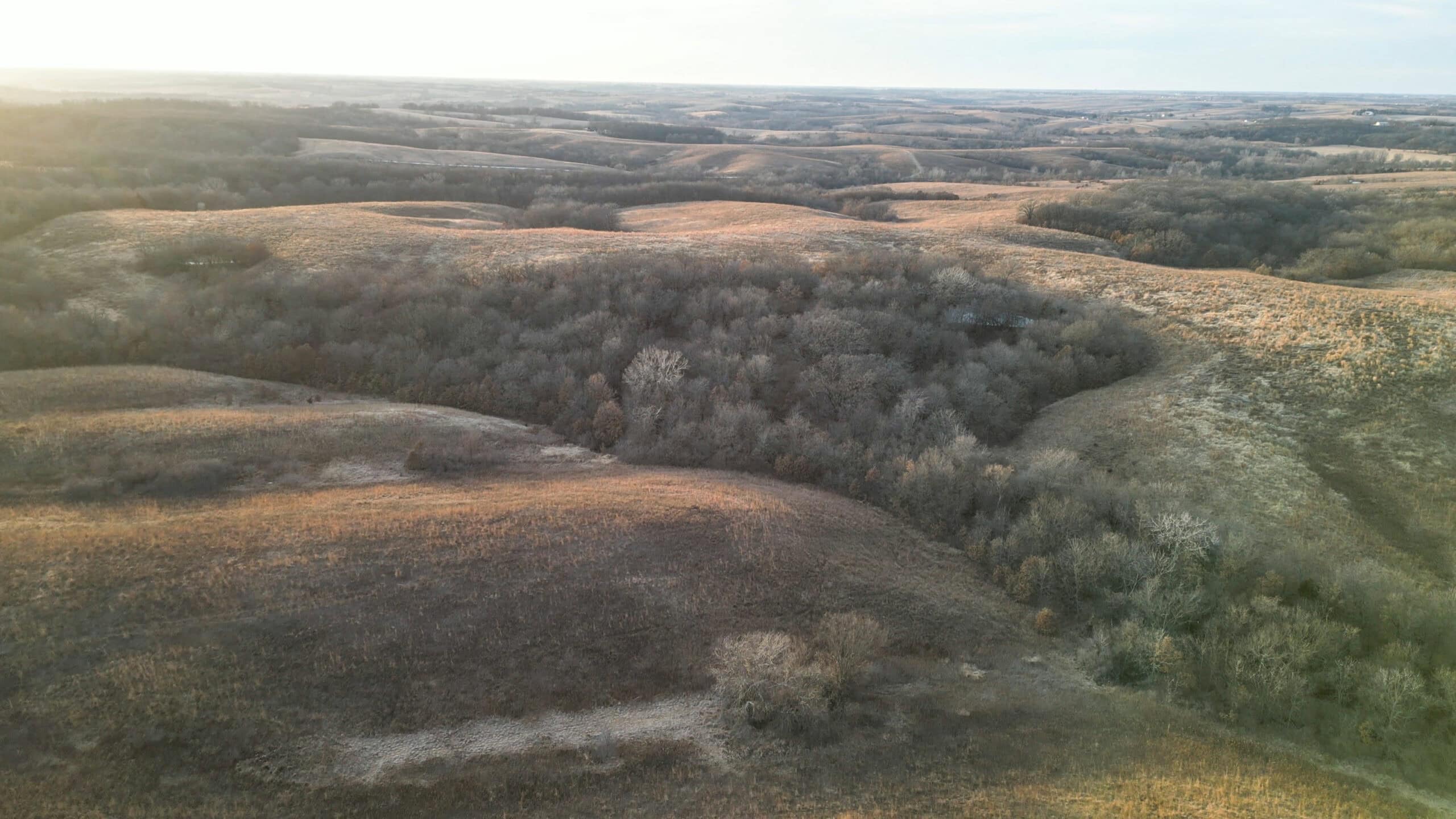 Secluded 240+/- Acre Hunting & Recreational Tract in a Low-Pressure Area of Southern Iowa