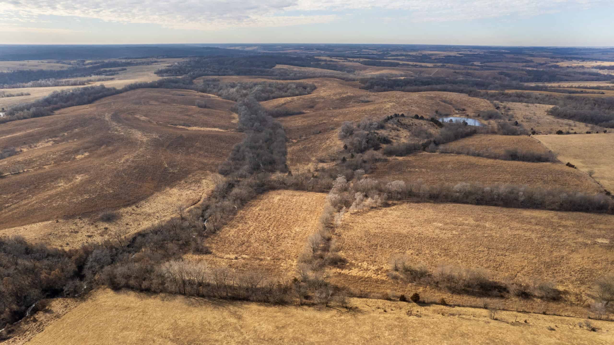 Secluded 240+/- Acre Hunting & Recreational Tract in a Low-Pressure Area of Southern Iowa